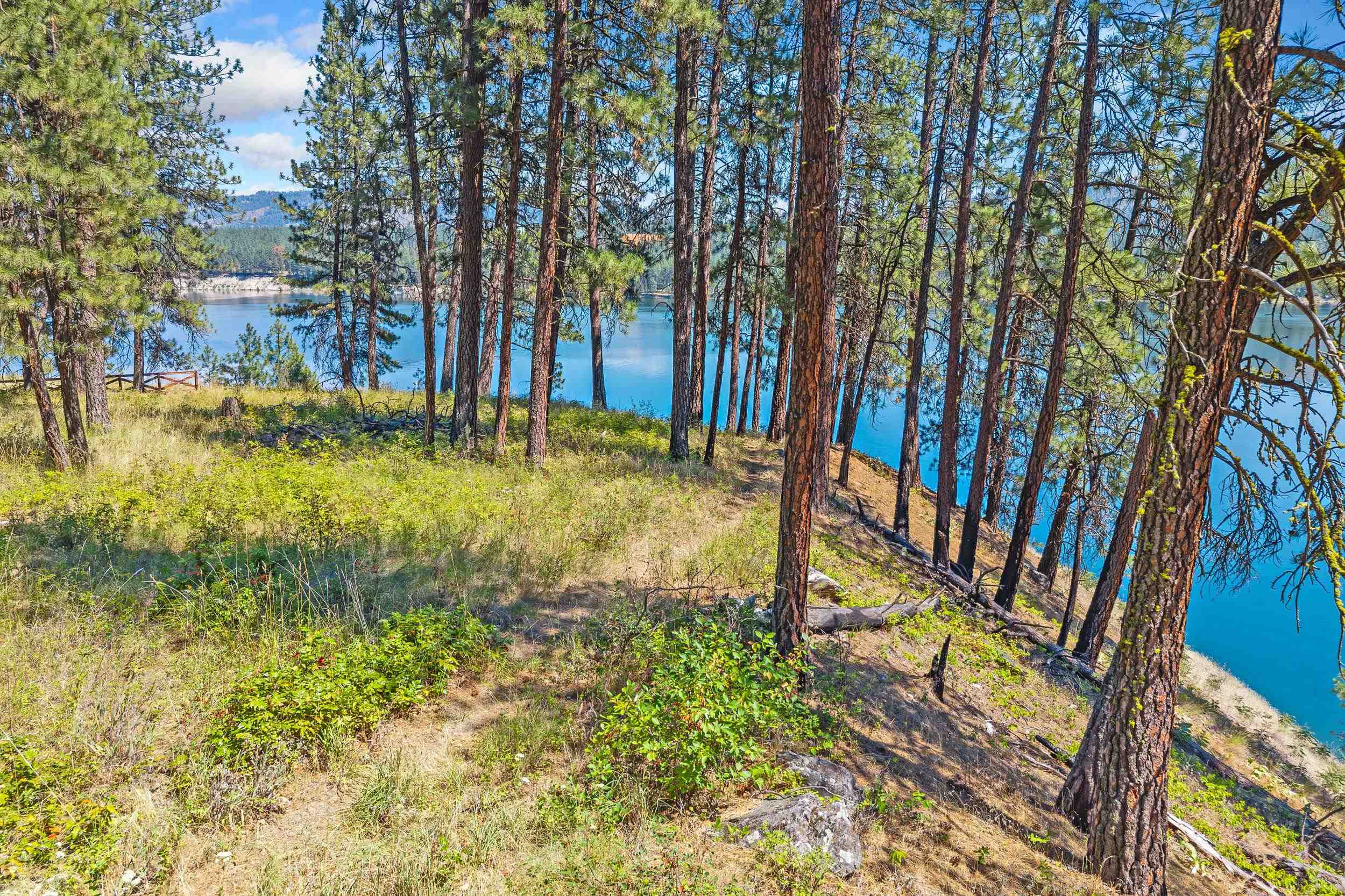 61 Columbia Dr - Photo 4