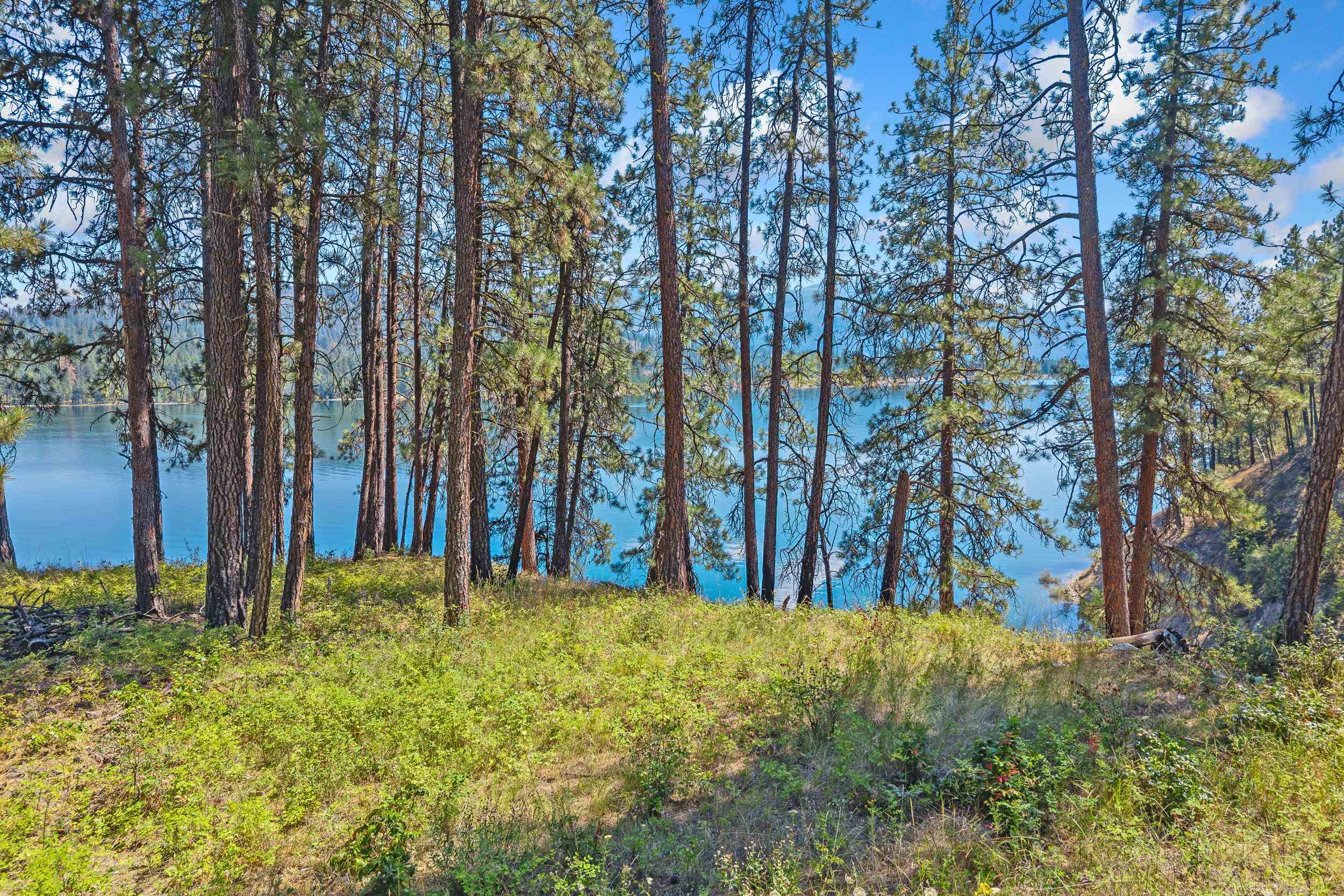 61 Columbia Dr - Photo 48