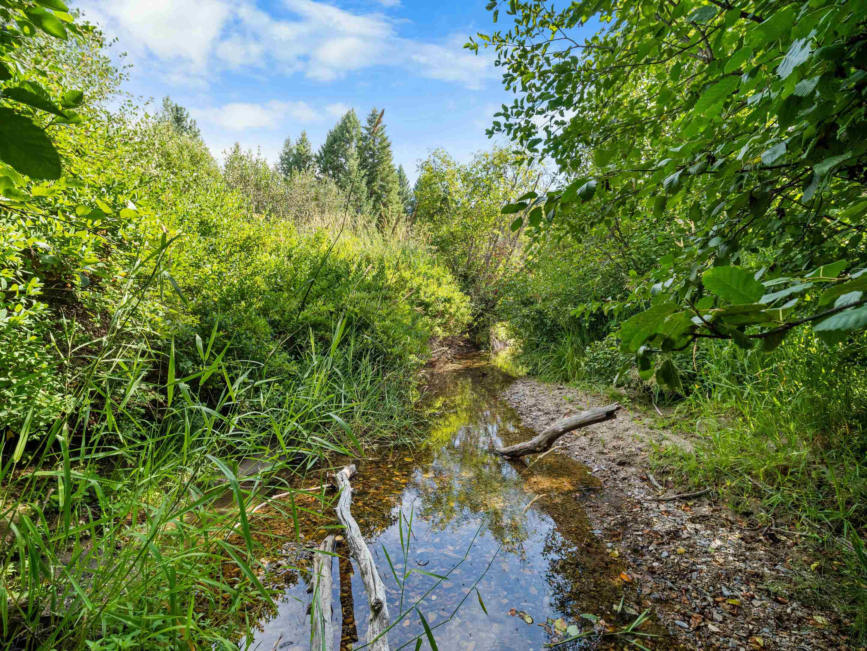 52XX Wagner Rd - Photo 3