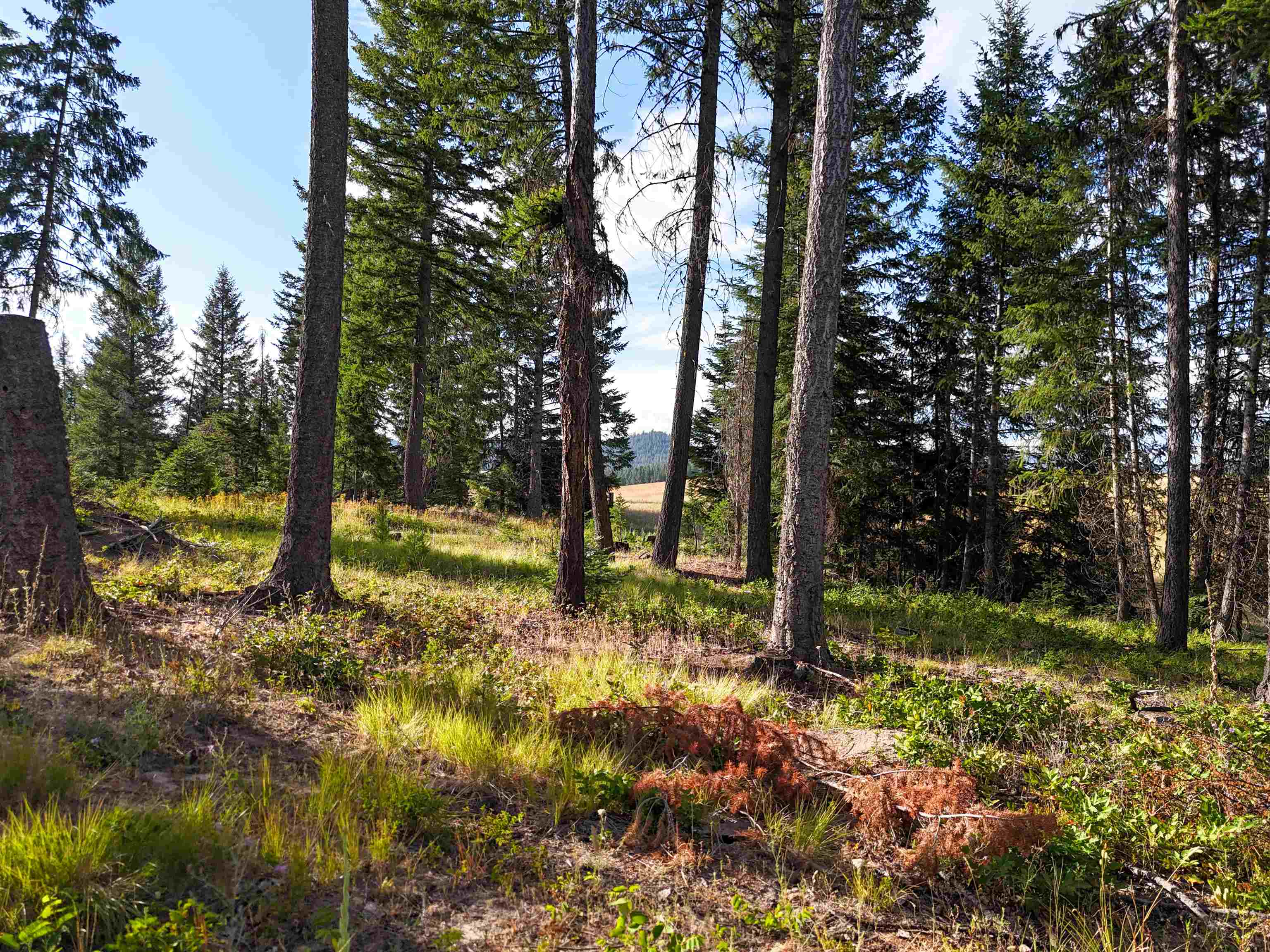 52XX Wagner Rd - Photo 6