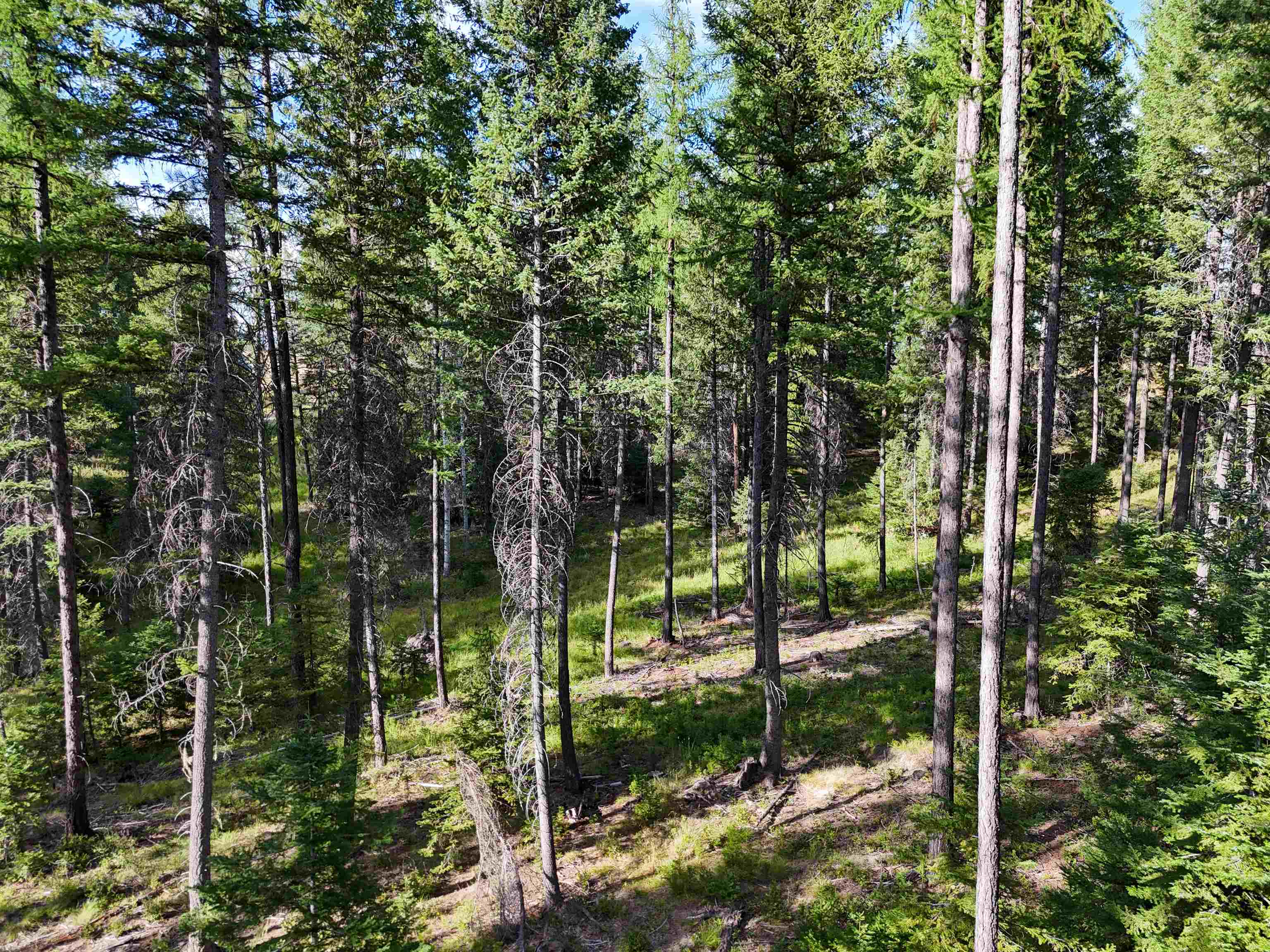 52XX Wagner Rd - Photo 7