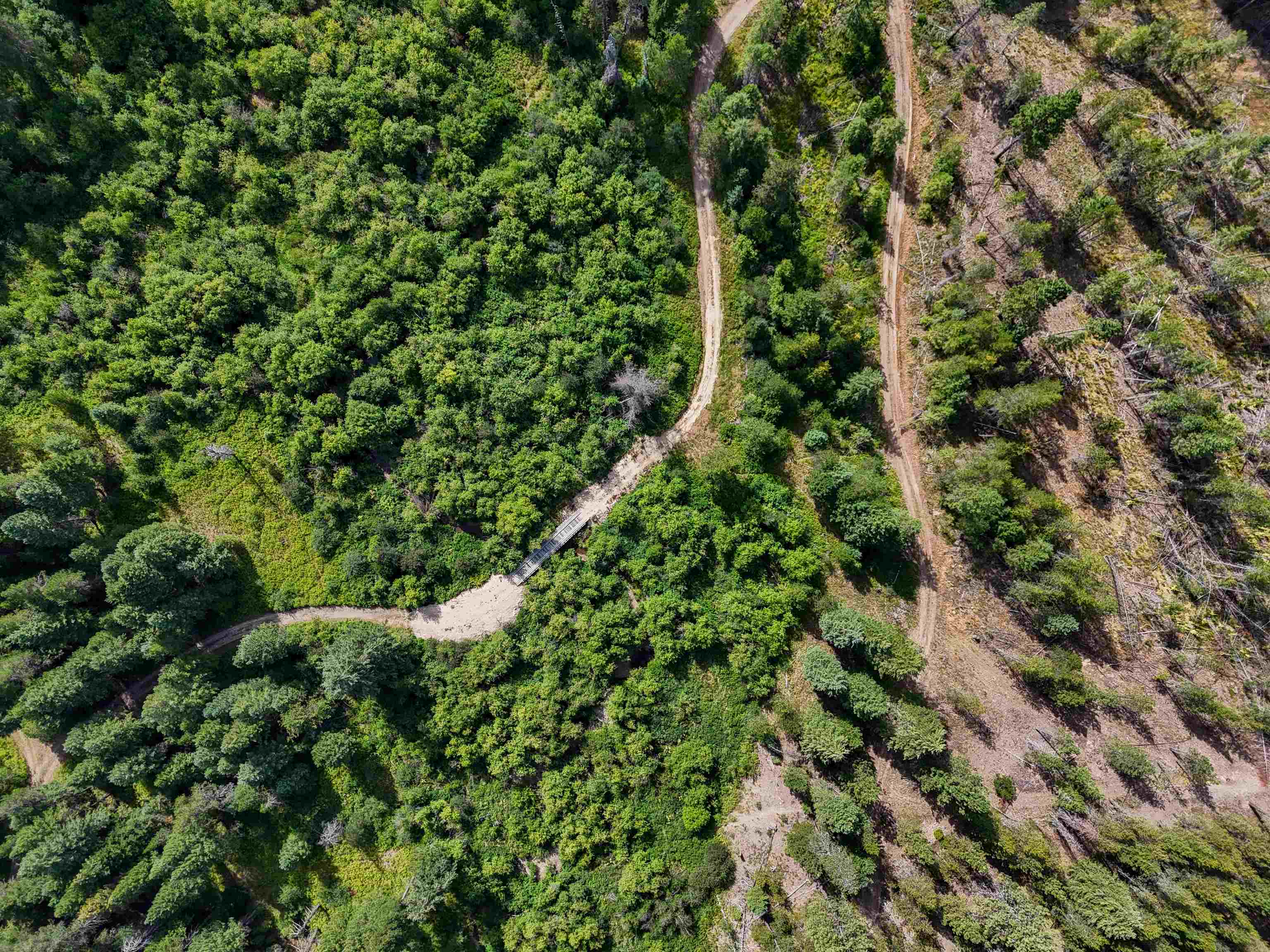 52XX Wagner Rd - Photo 8