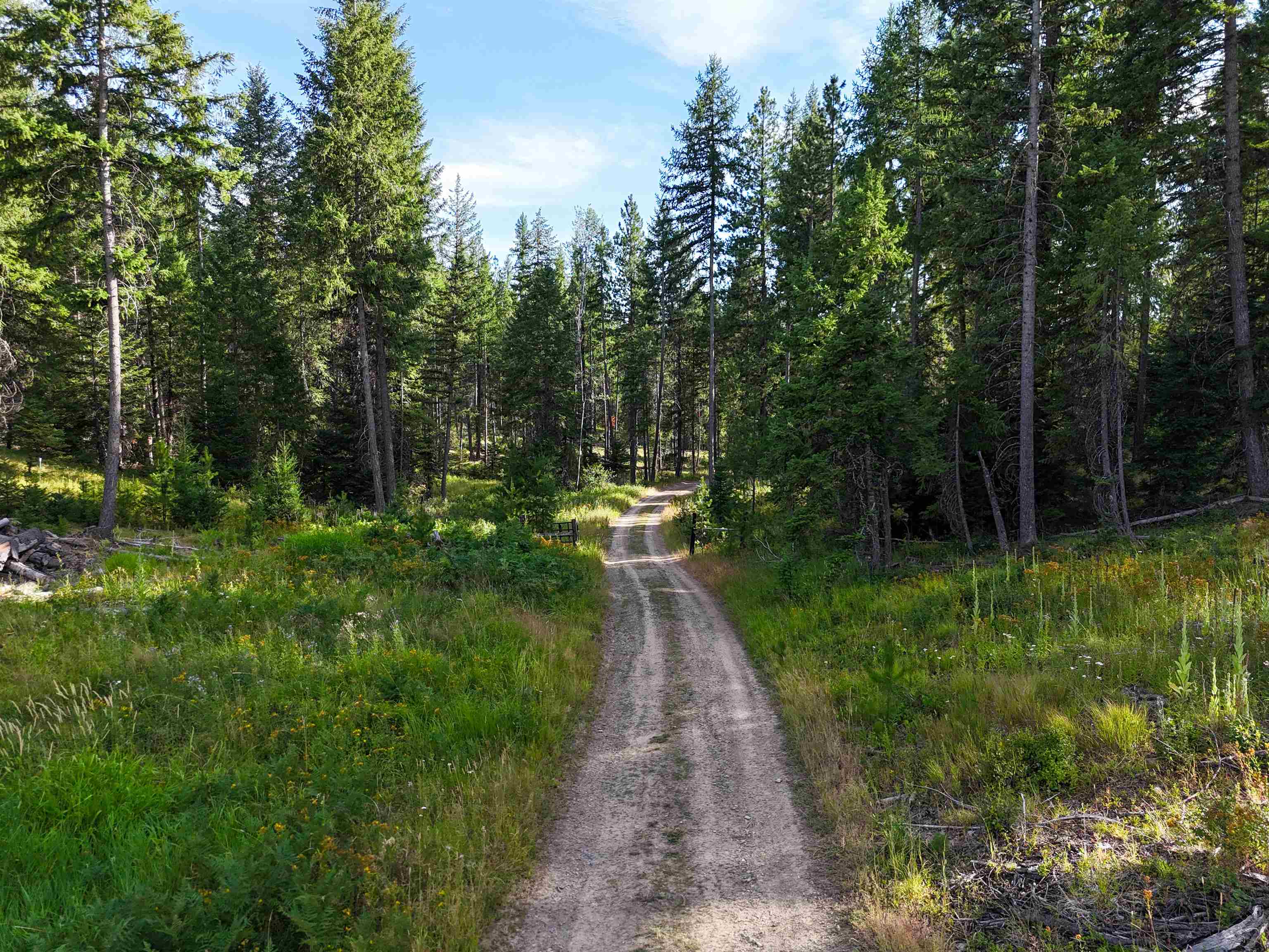 52XX Wagner Rd - Photo 10