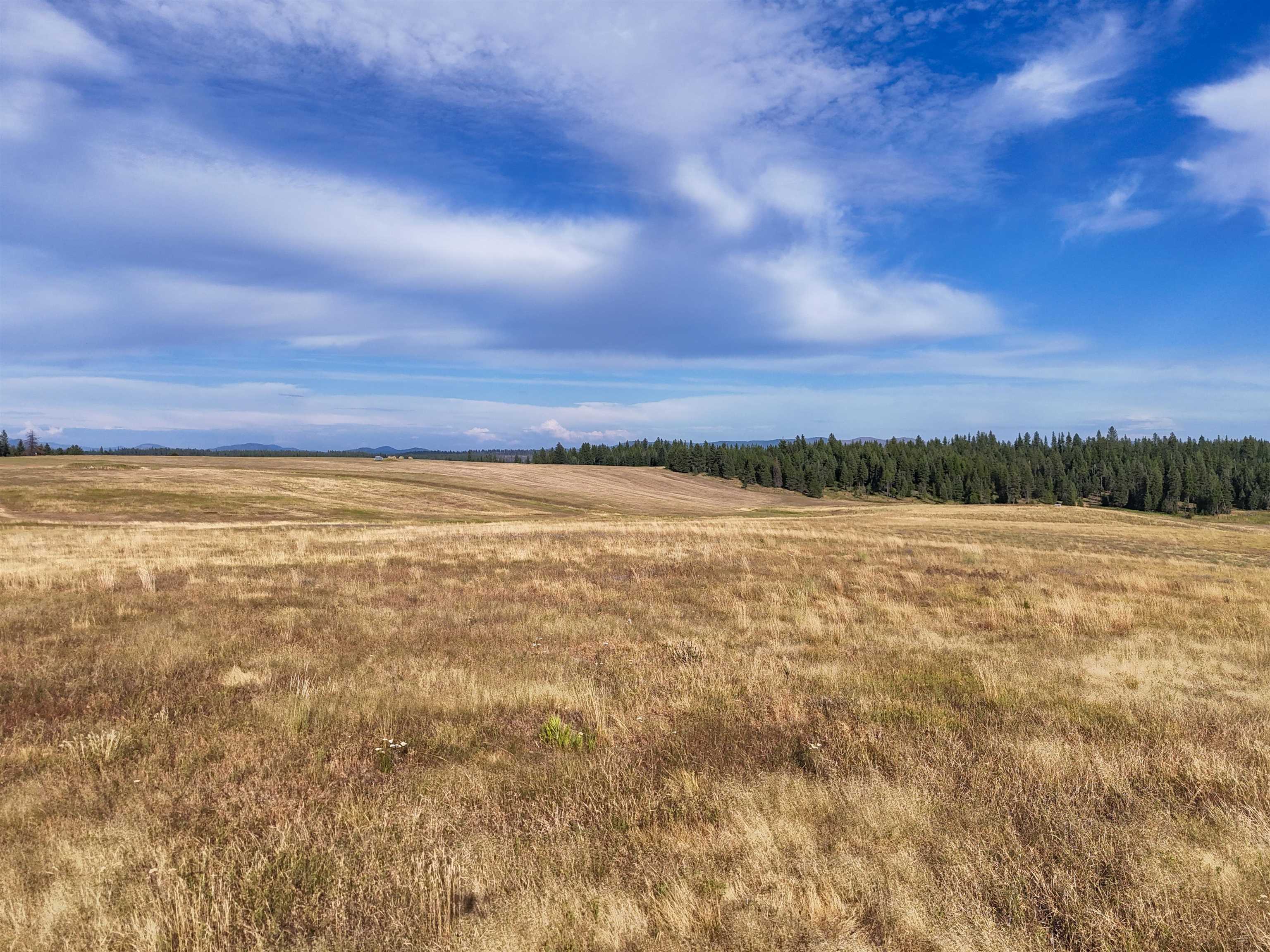 52XX Wagner Rd - Photo 22