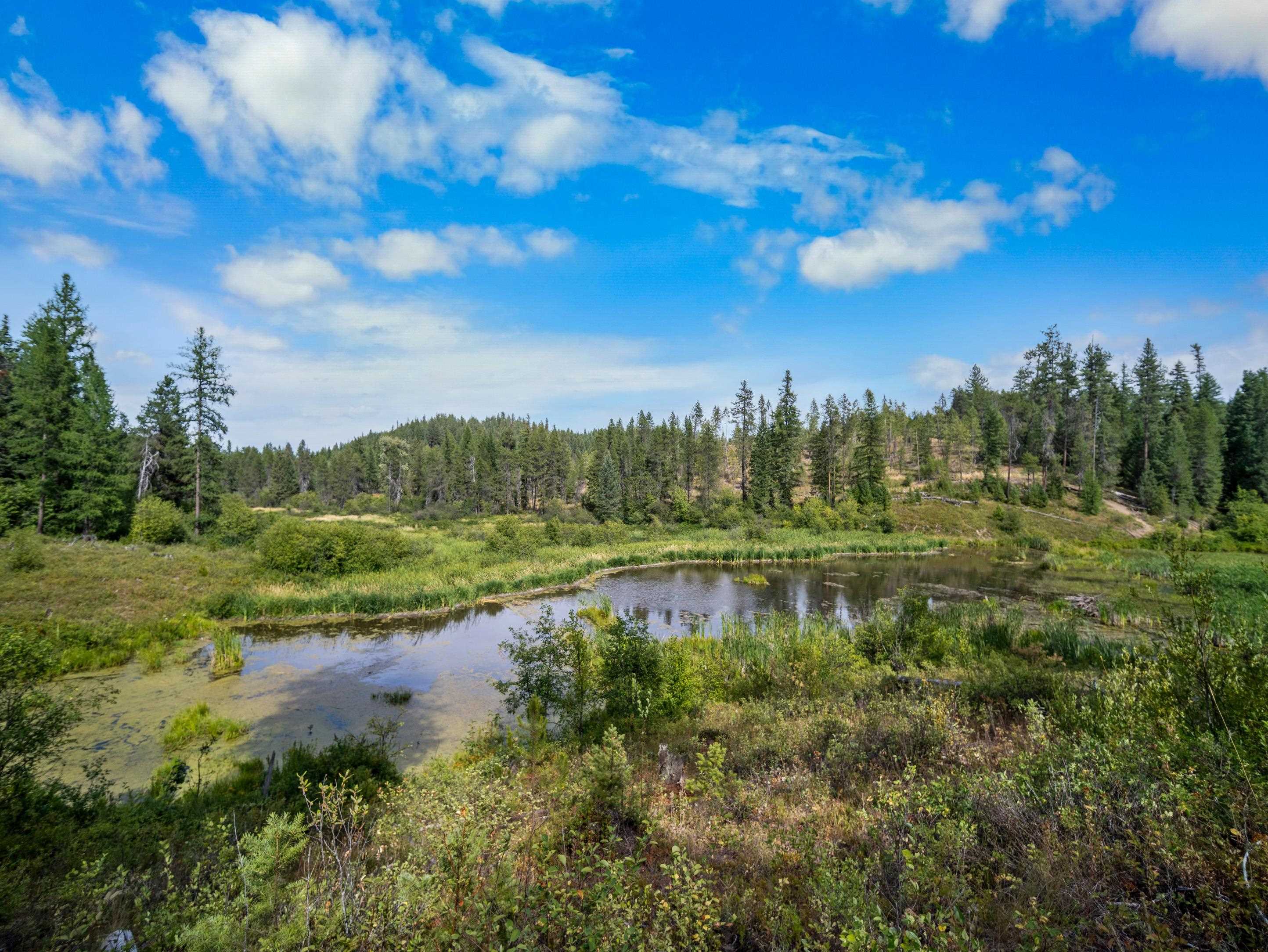 52XX Wagner Rd - Photo 32