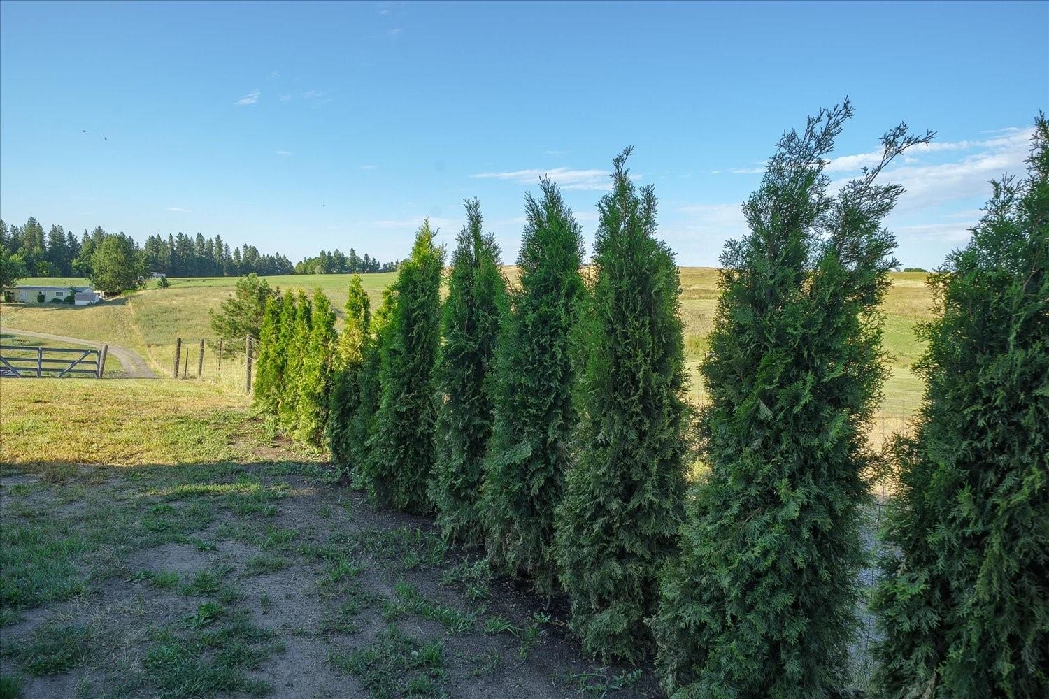 7303 E Bigelow Gulch Rd - Photo 26