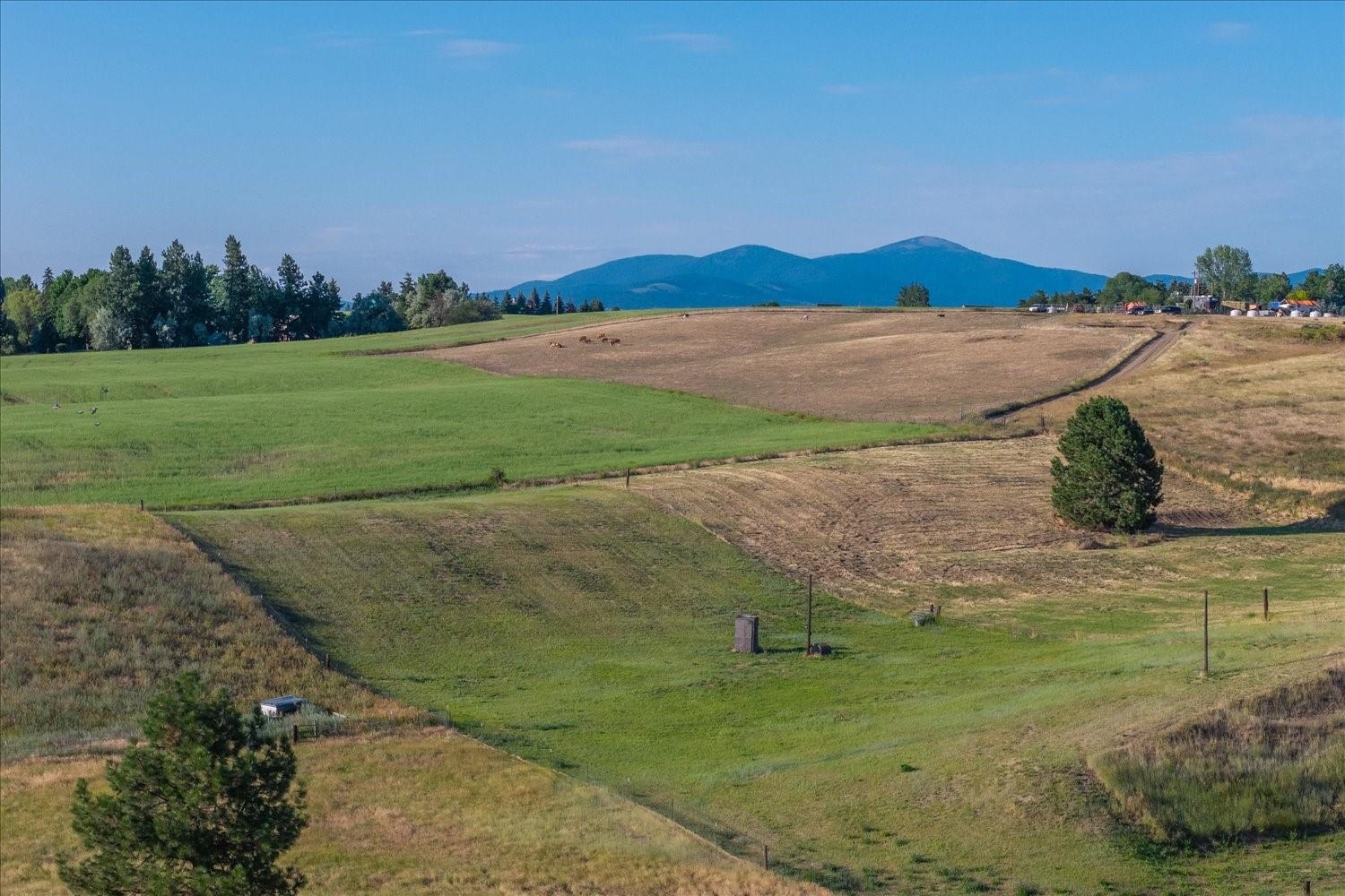 7303 E Bigelow Gulch Rd - Photo 49