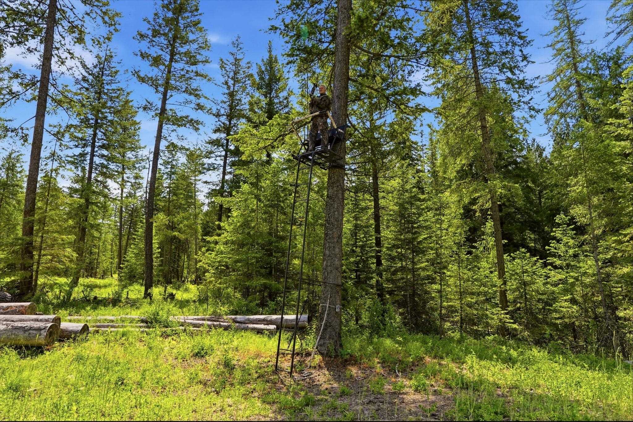 TBD E Deer Park-Milan Rd - Photo 10