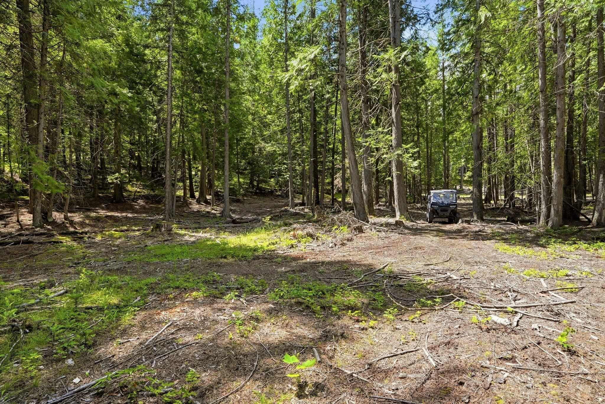 TBD E Deer Park-Milan Rd - Photo 11