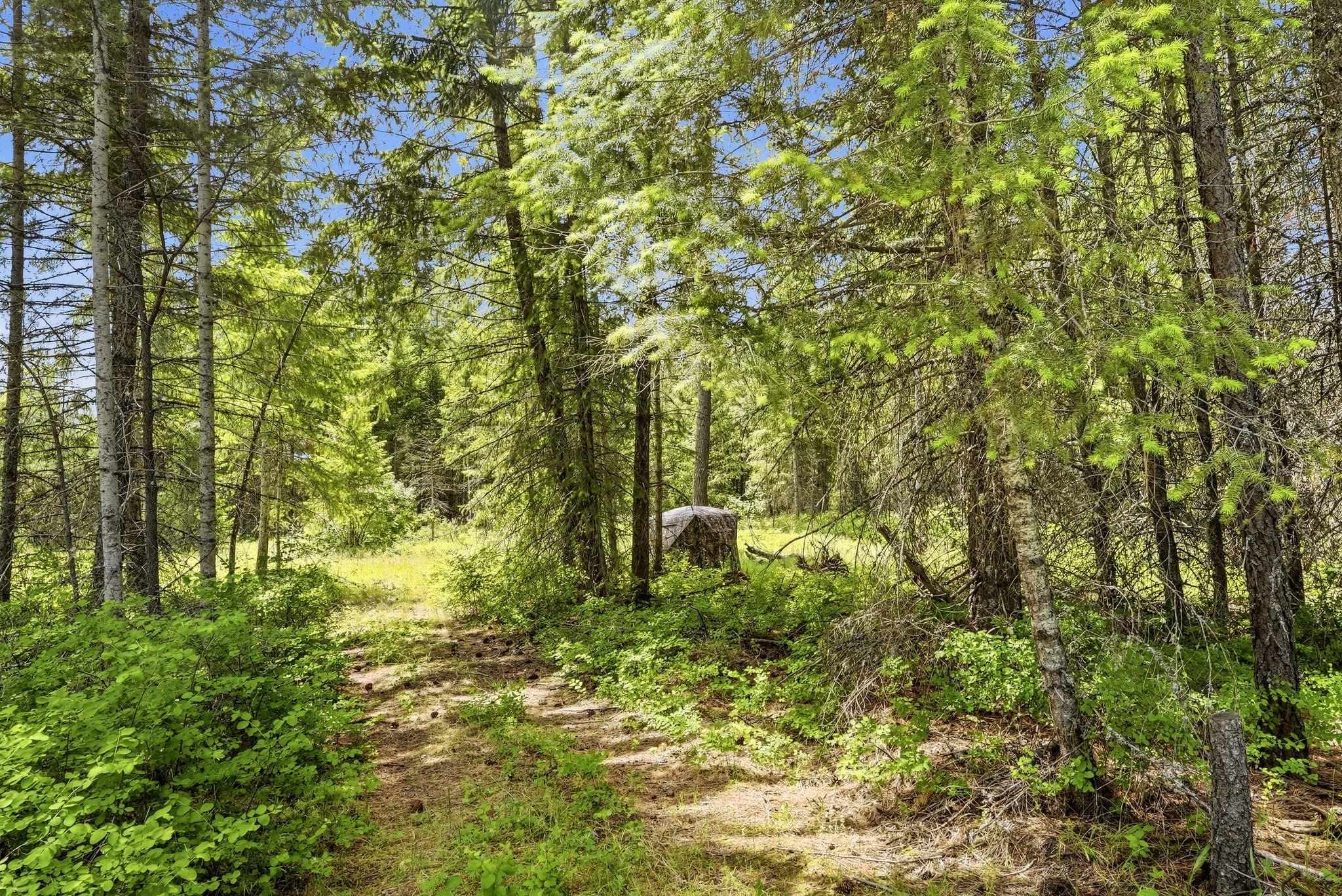 TBD E Deer Park-Milan Rd - Photo 15