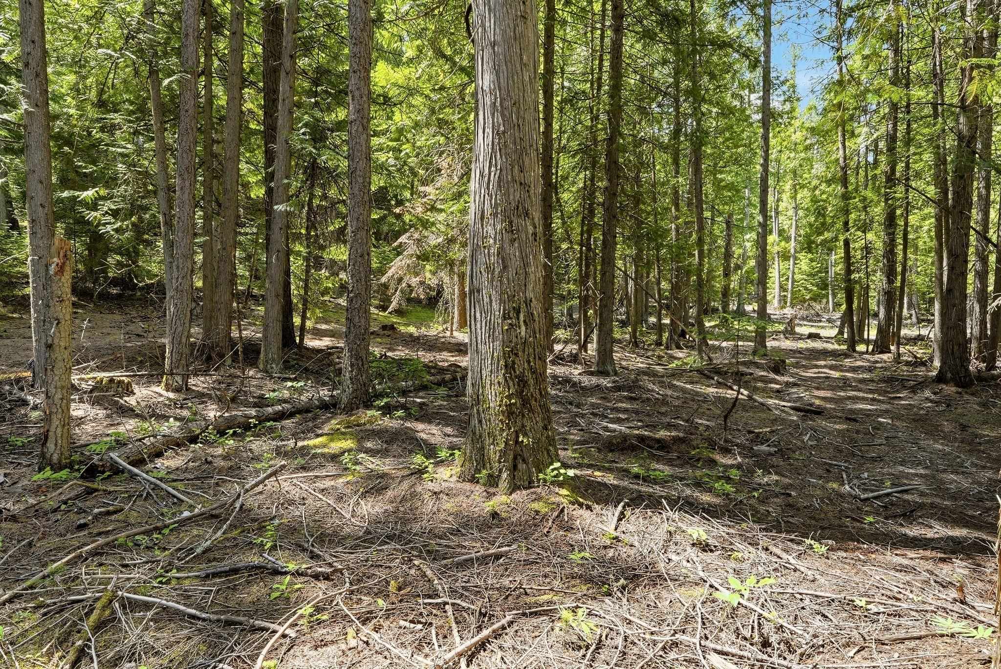 TBD E Deer Park-Milan Rd - Photo 16