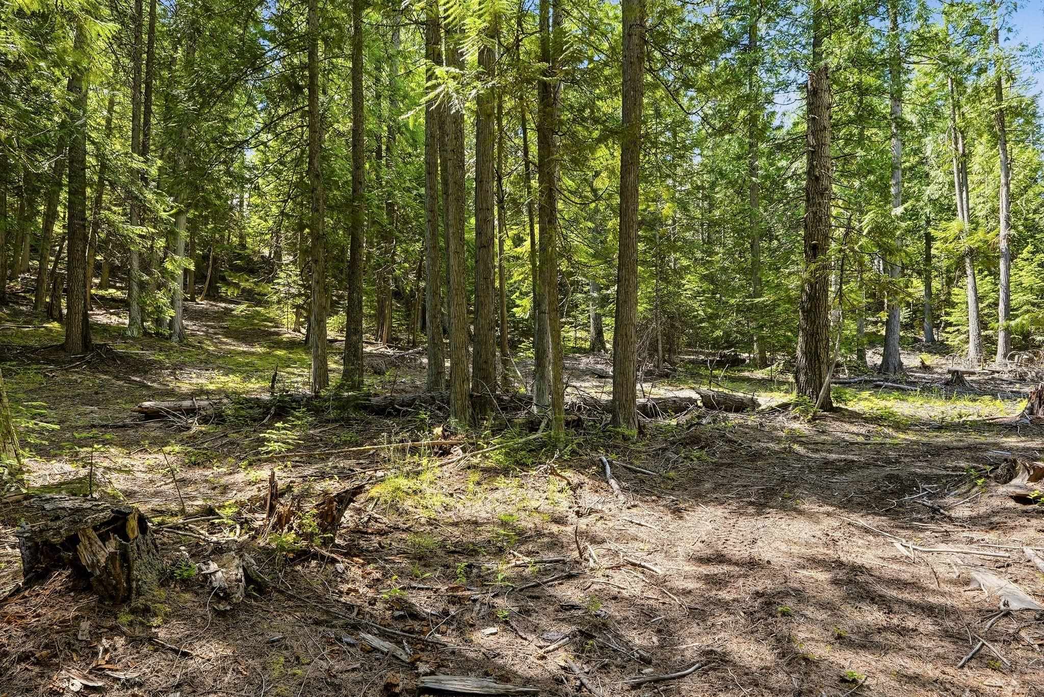TBD E Deer Park-Milan Rd - Photo 17