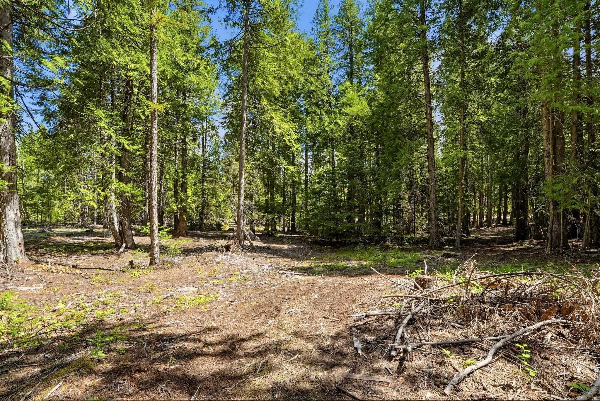 TBD E Deer Park-Milan Rd - Photo 18