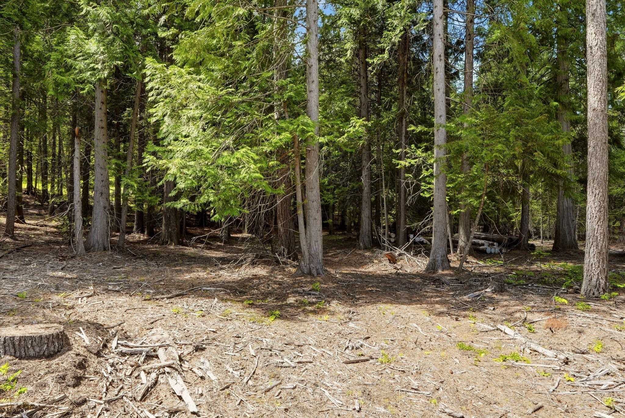TBD E Deer Park-Milan Rd - Photo 21