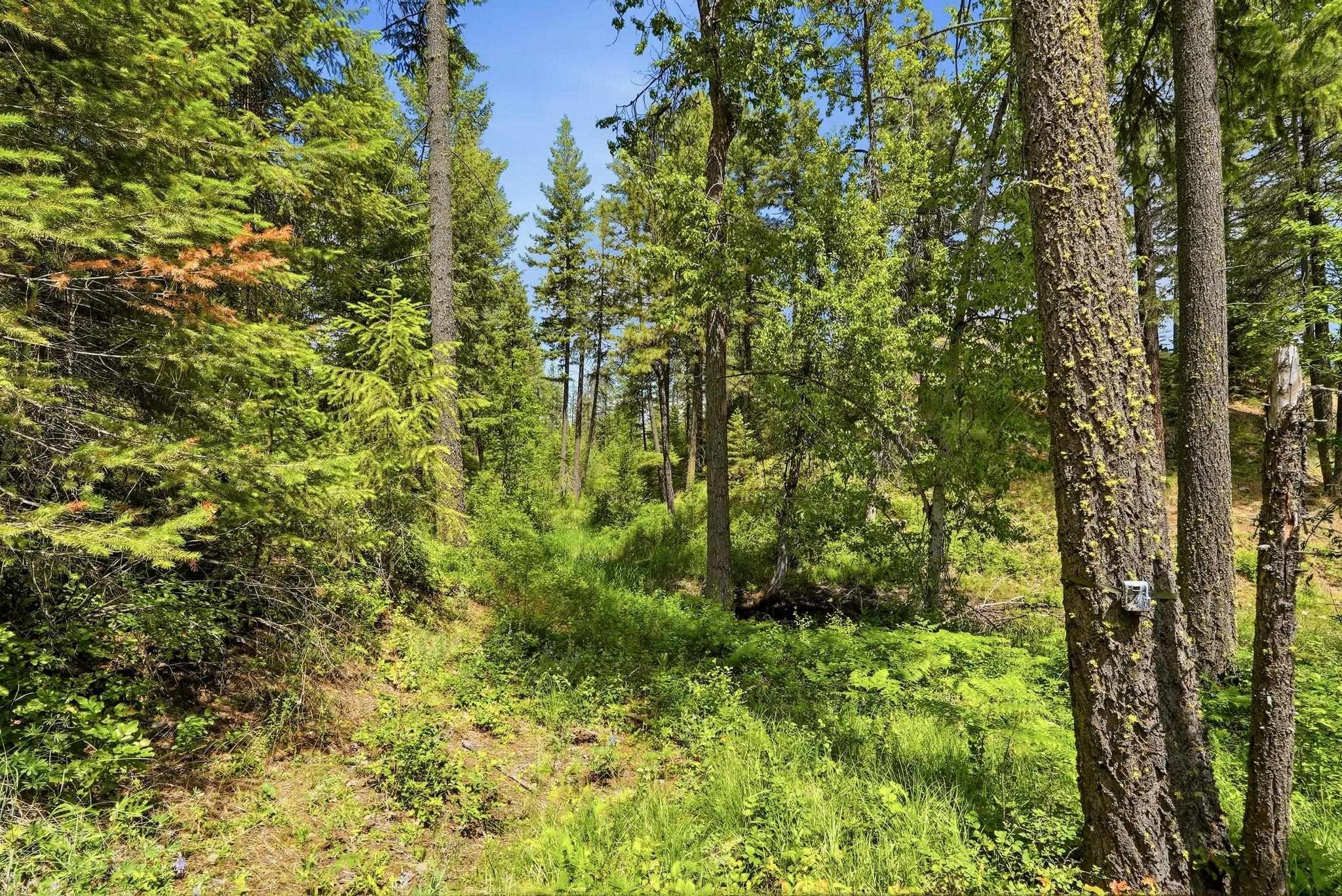 TBD E Deer Park-Milan Rd - Photo 23