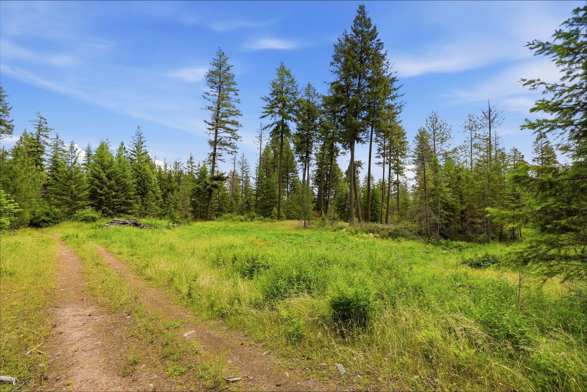 TBD E Deer Park-Milan Rd - Photo 25