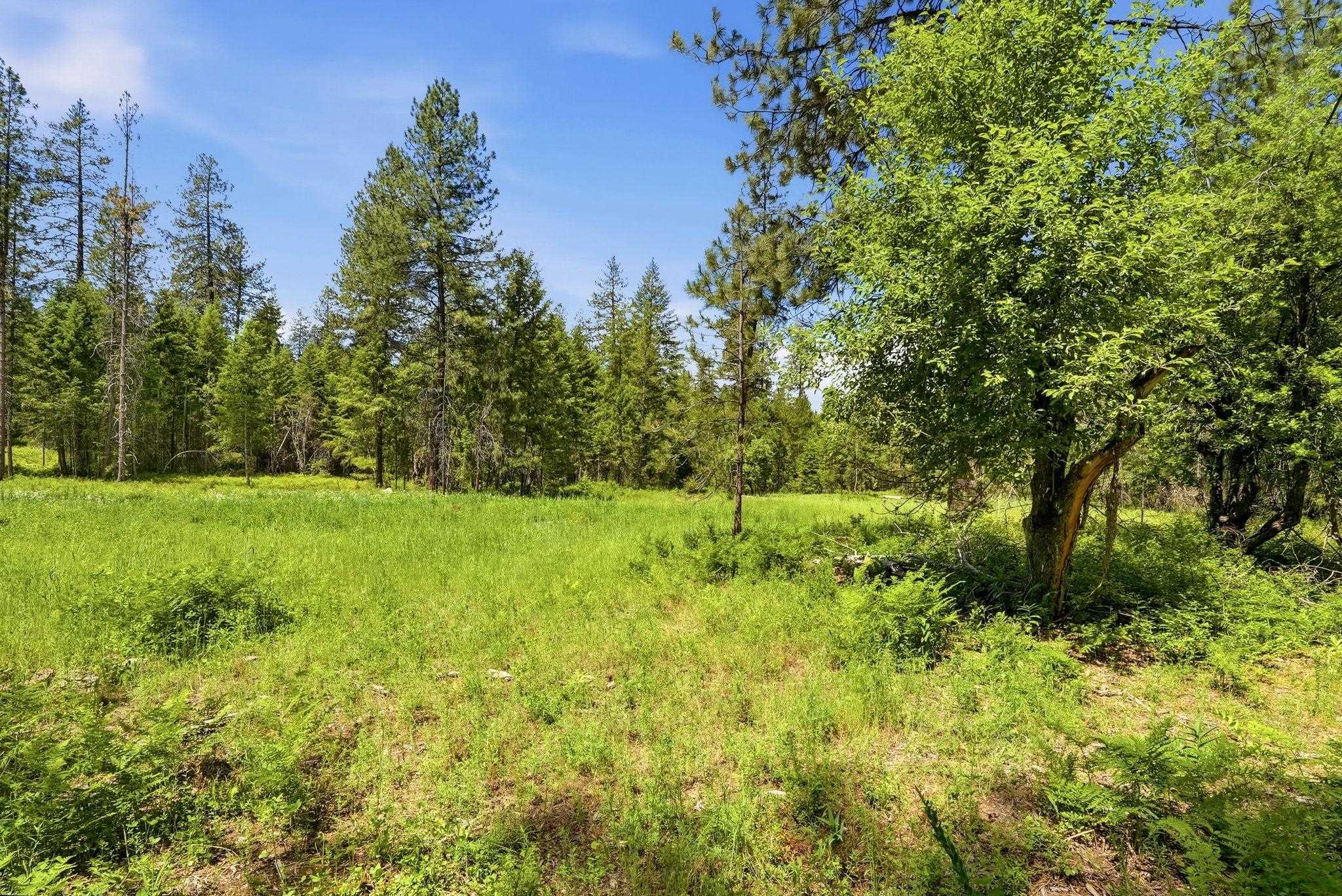 TBD E Deer Park-Milan Rd - Photo 28