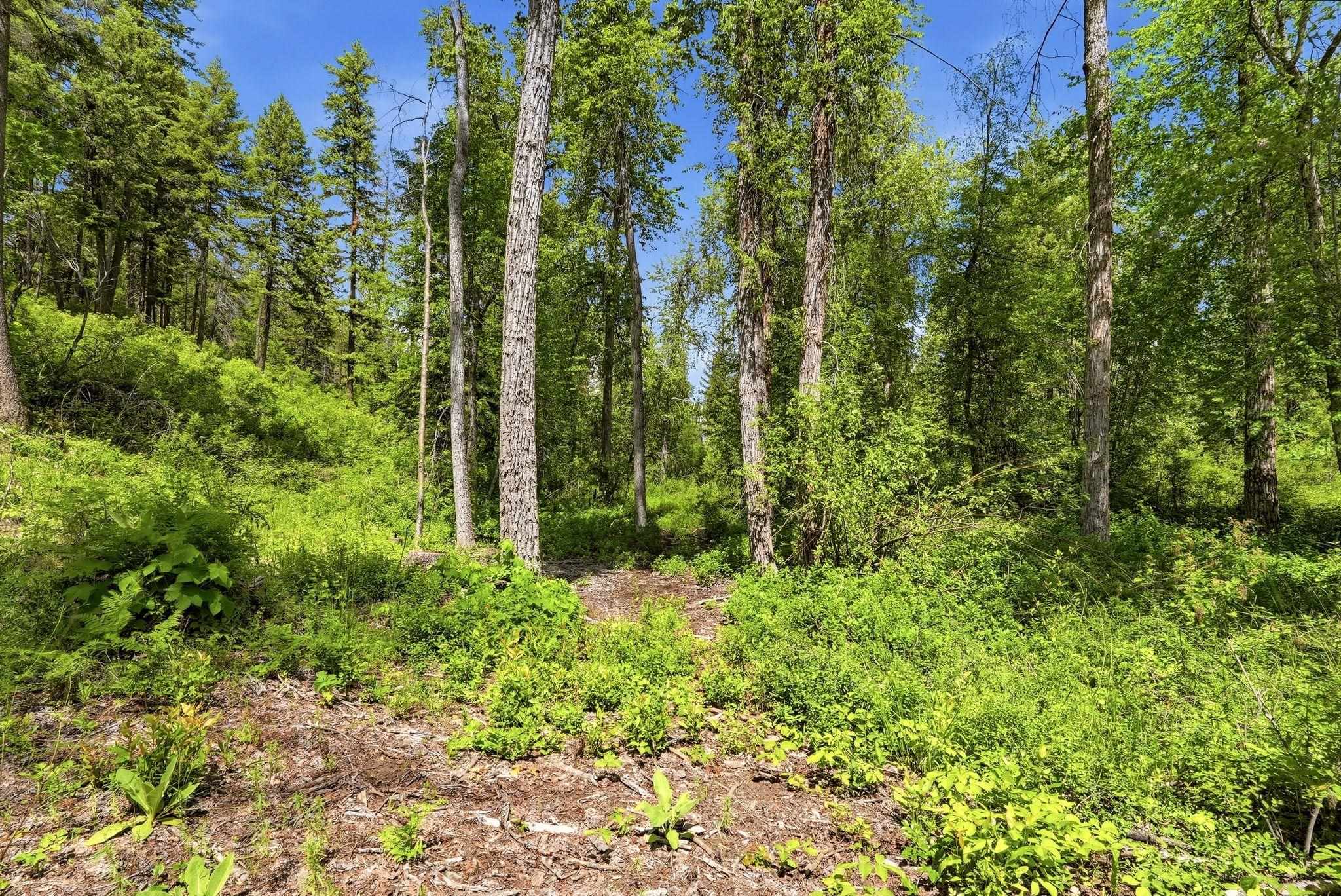 TBD E Deer Park-Milan Rd - Photo 29