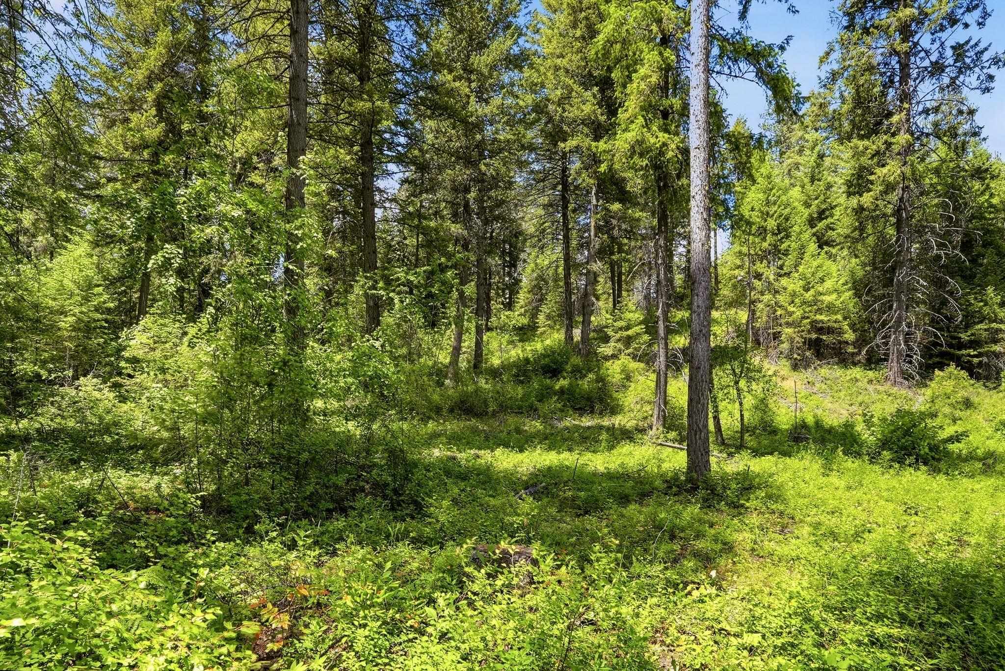 TBD E Deer Park-Milan Rd - Photo 30