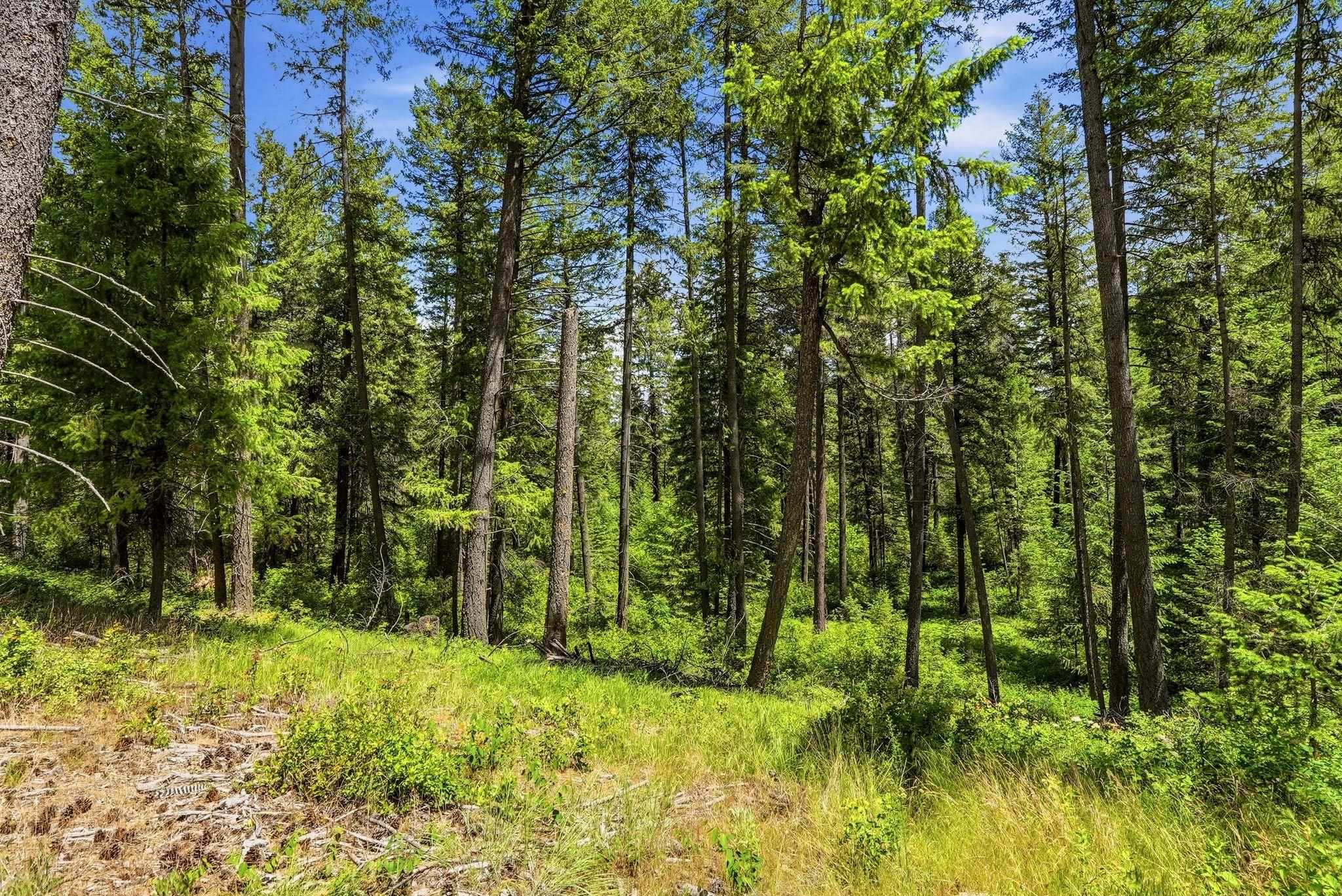 TBD E Deer Park-Milan Rd - Photo 31