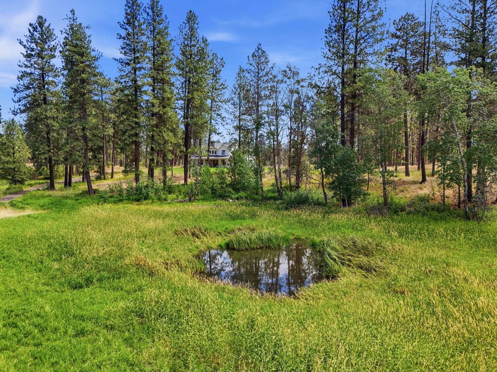 17111 S Graham Rd - Photo 43