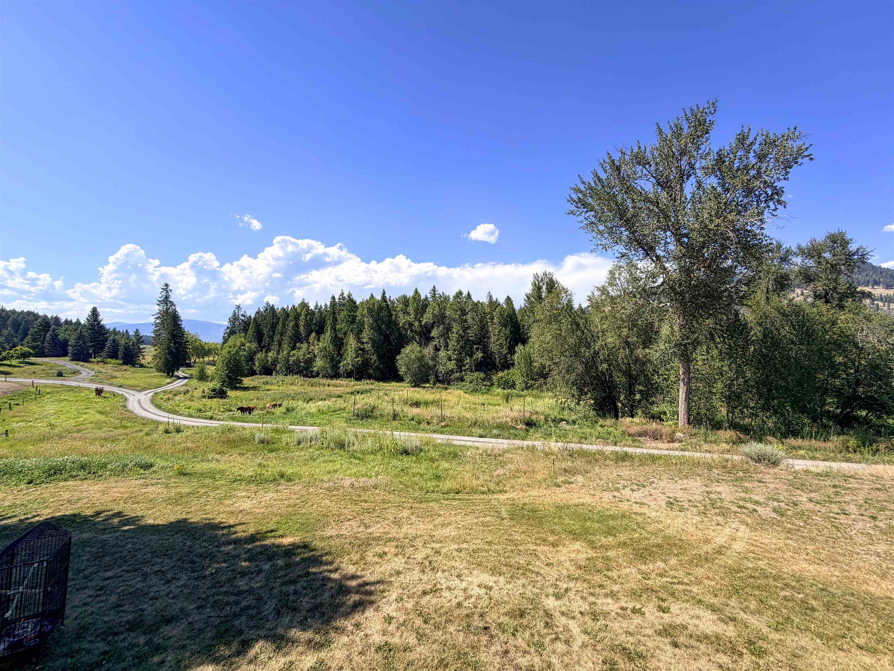 386 Bastian Ln - Photo 12