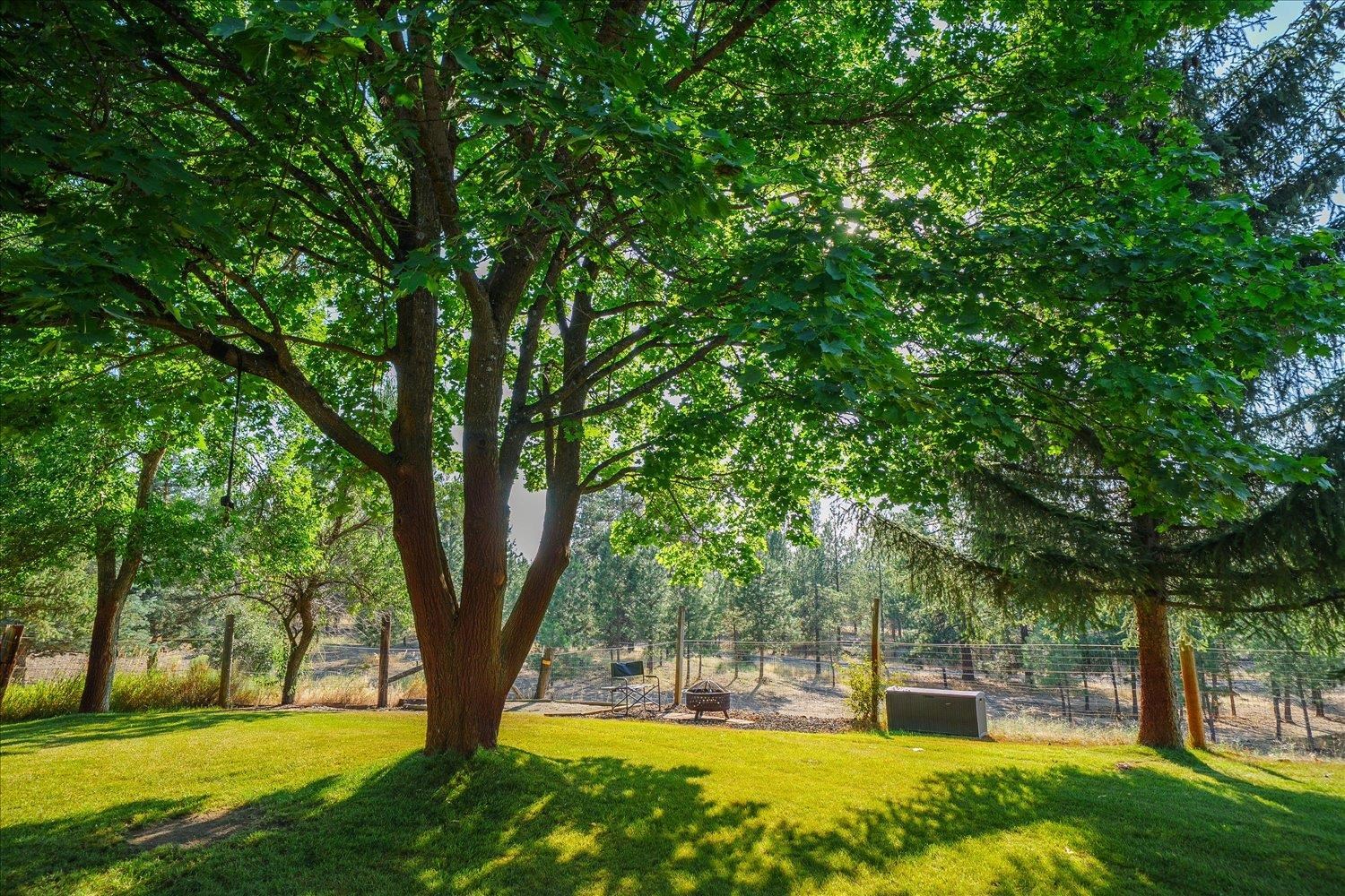 22309 W MCFARLANE Rd - Photo 28
