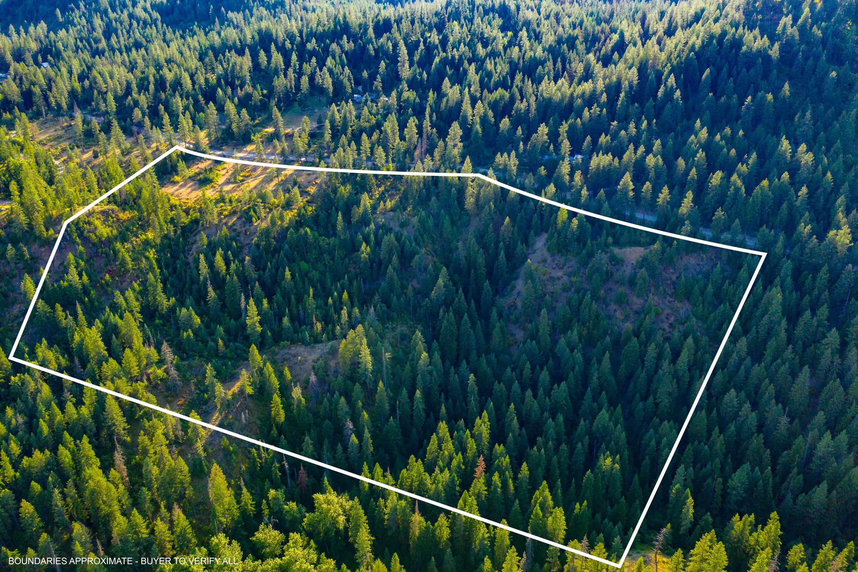 4330192100 Horseshoe Lake Rd - Photo 9