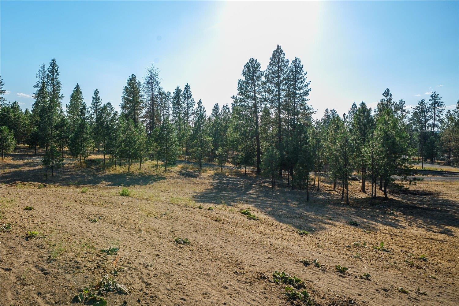 22309 W MCFARLANE Rd - Photo 29