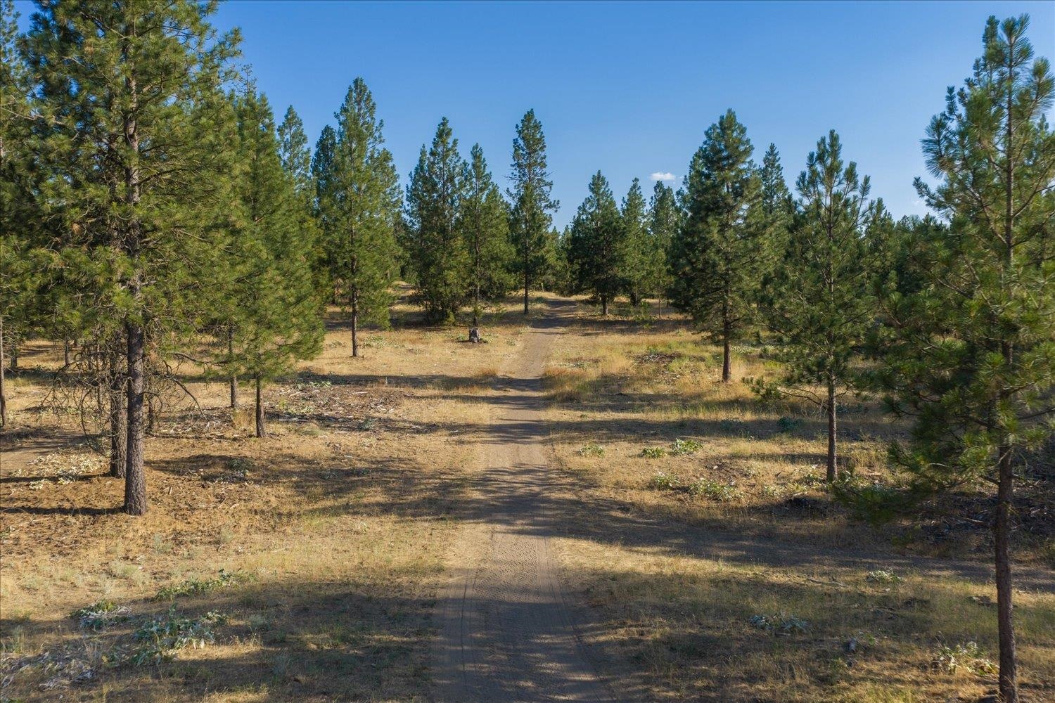 22309 W MCFARLANE Rd - Photo 39