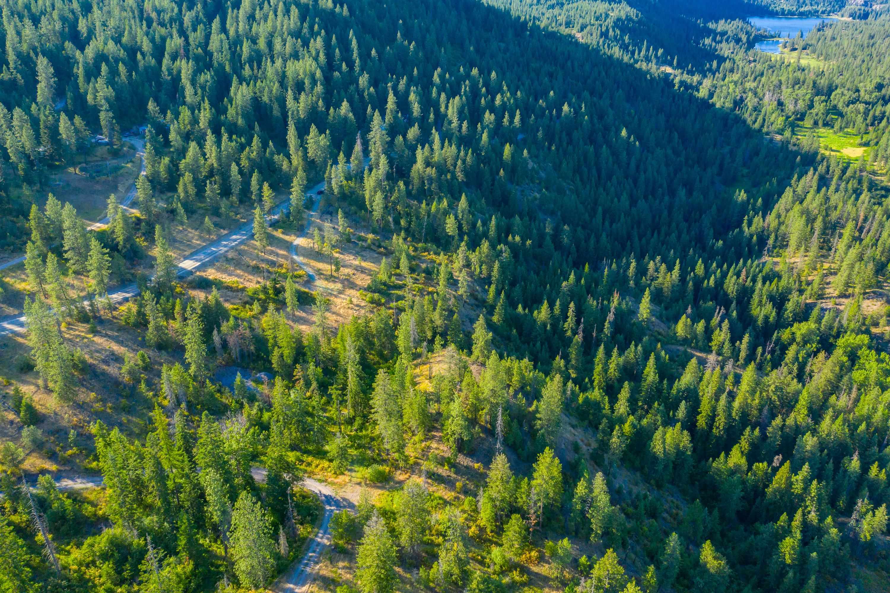 4330192100 Horseshoe Lake Rd - Photo 10
