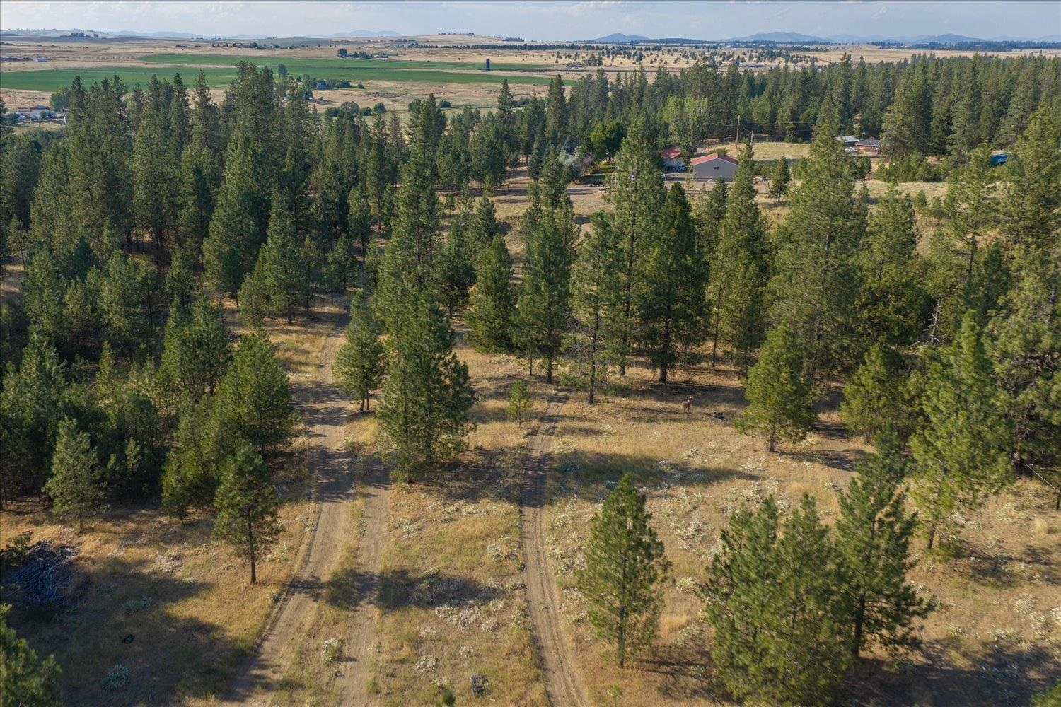 22309 W MCFARLANE Rd - Photo 48