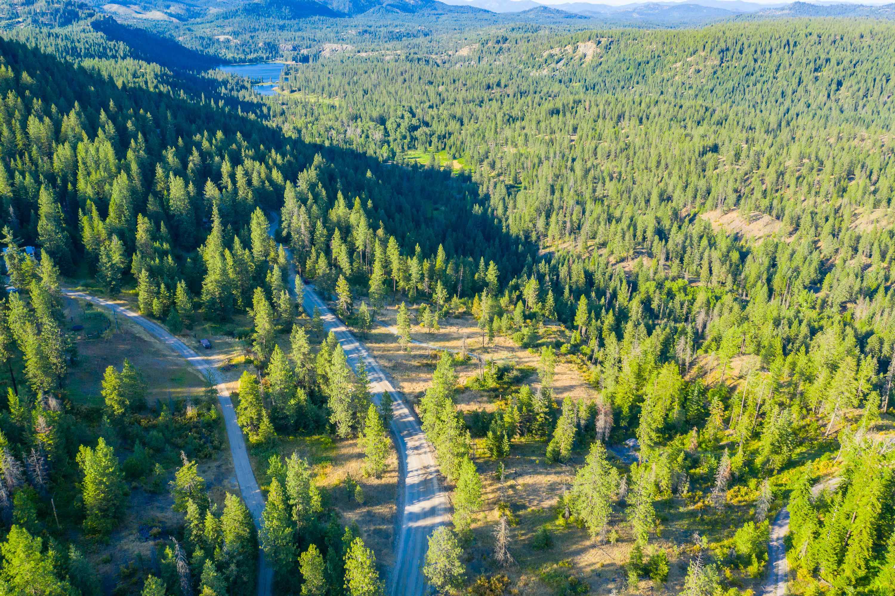4330192100 Horseshoe Lake Rd - Photo 3