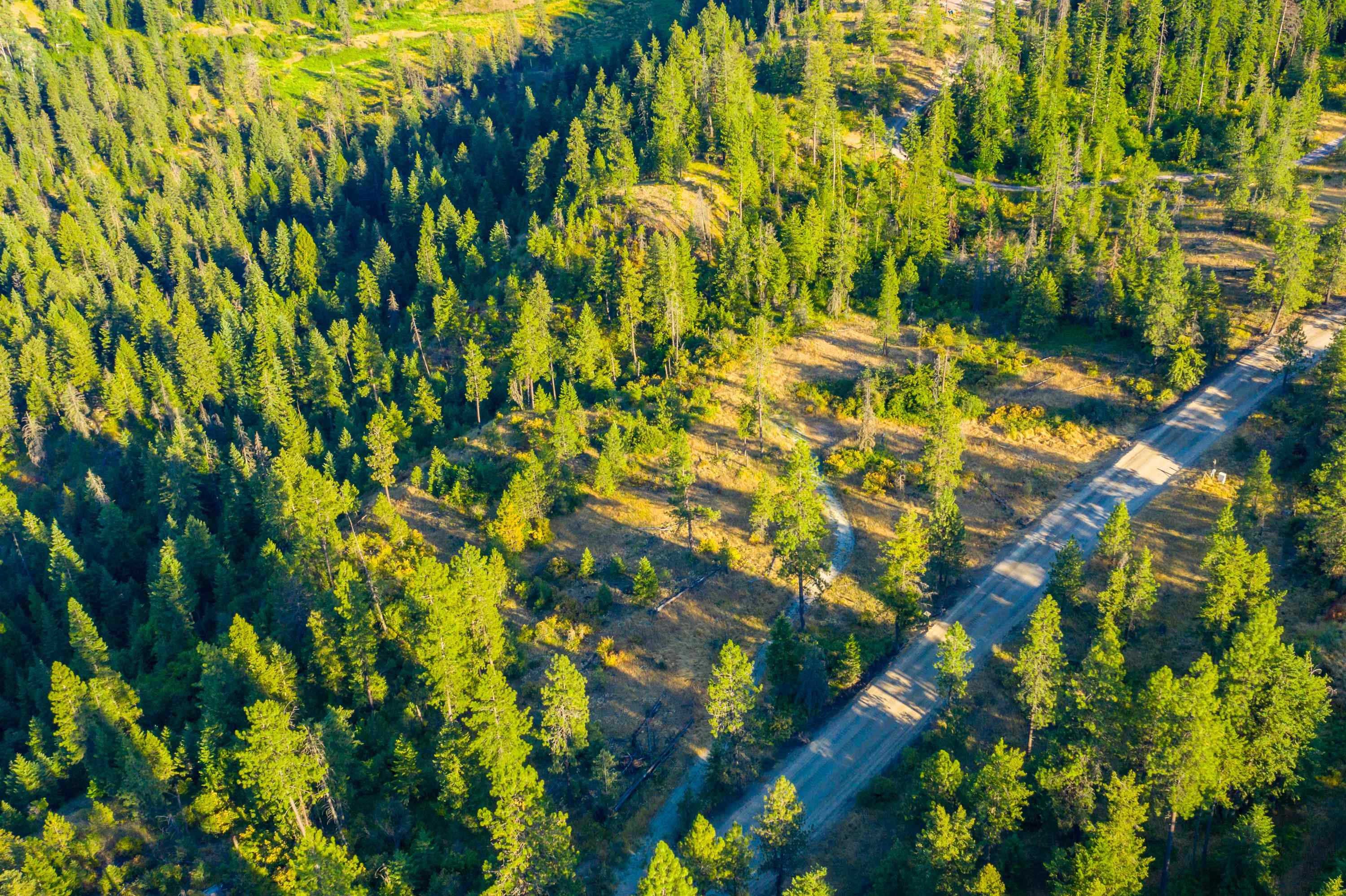 4330192100 Horseshoe Lake Rd - Photo 1