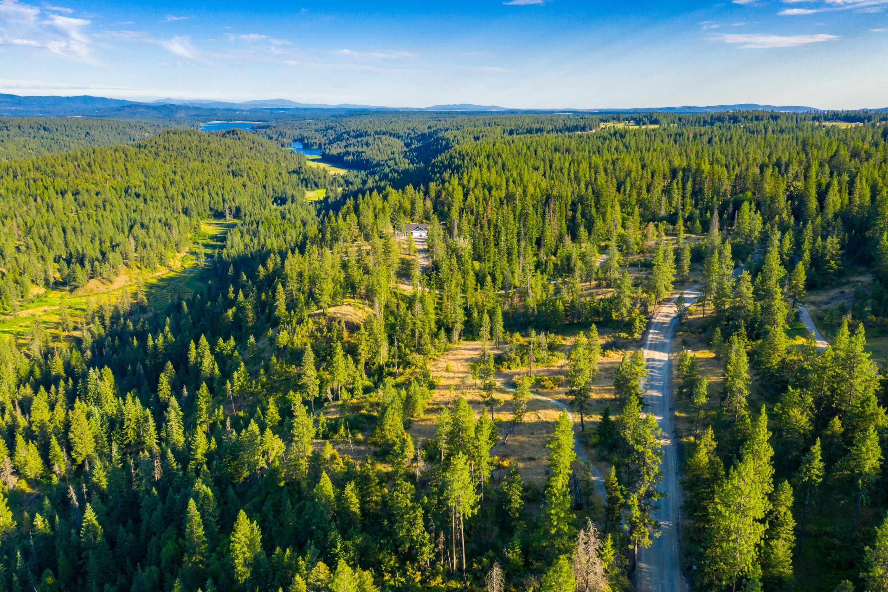 4330192100 Horseshoe Lake Rd - Photo 6