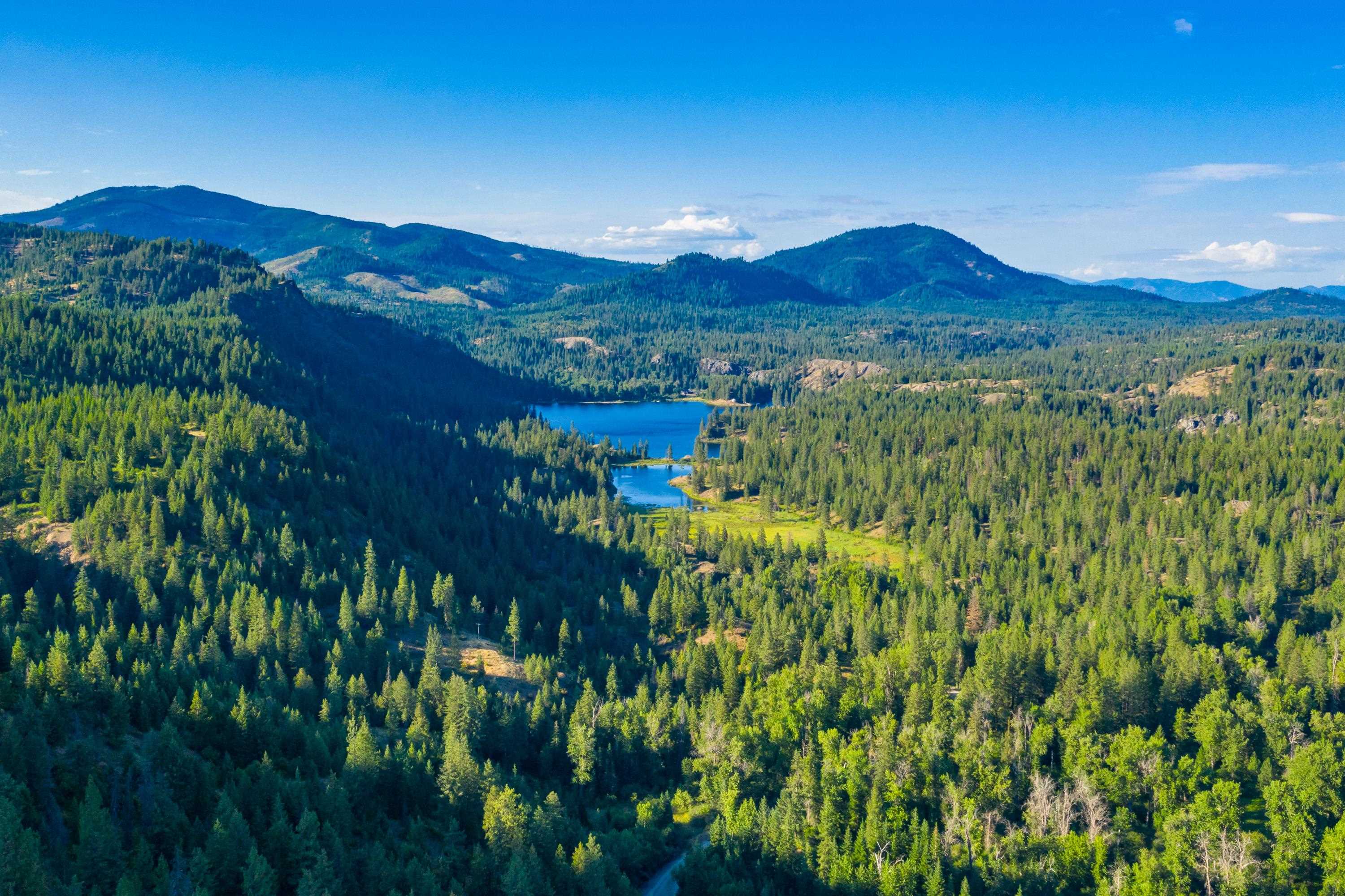 4330192100 Horseshoe Lake Rd - Photo 4