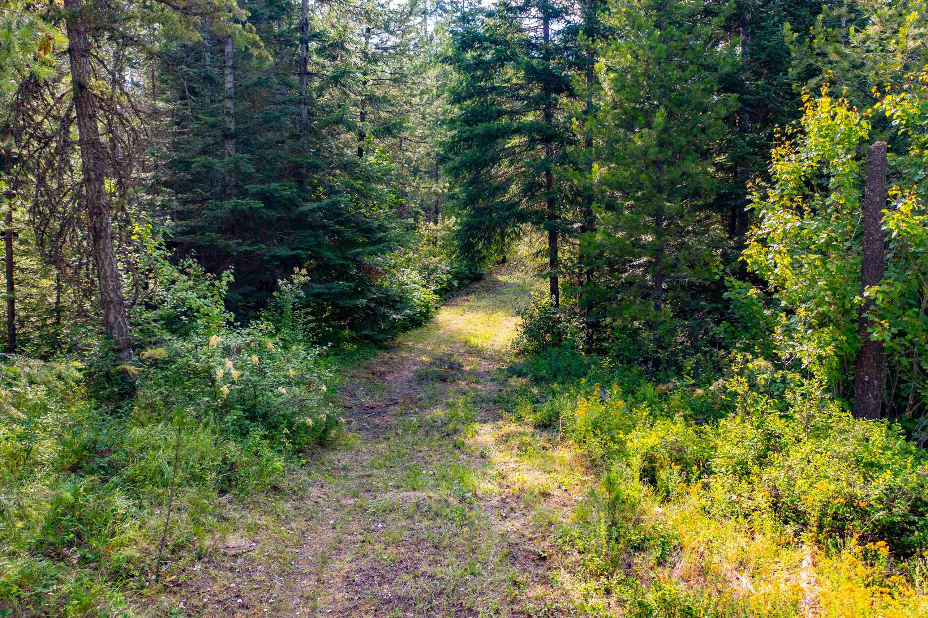 NKA Slate rd Lot 18 Rd - Photo 1
