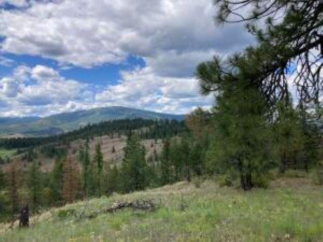 4xx R VISTA VIEW Ln - Photo 3