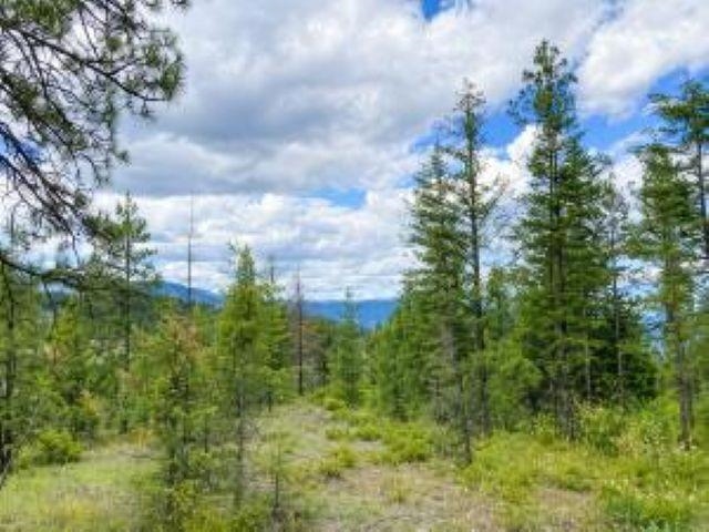 4xx R VISTA VIEW Ln - Photo 5