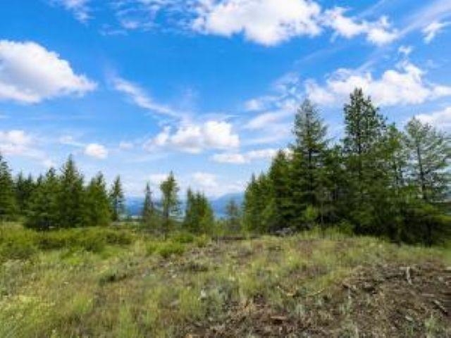 4xx R VISTA VIEW Ln - Photo 6