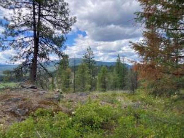 4xx R VISTA VIEW Ln - Photo 10