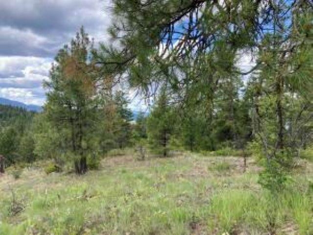 4xx R VISTA VIEW Ln - Photo 11