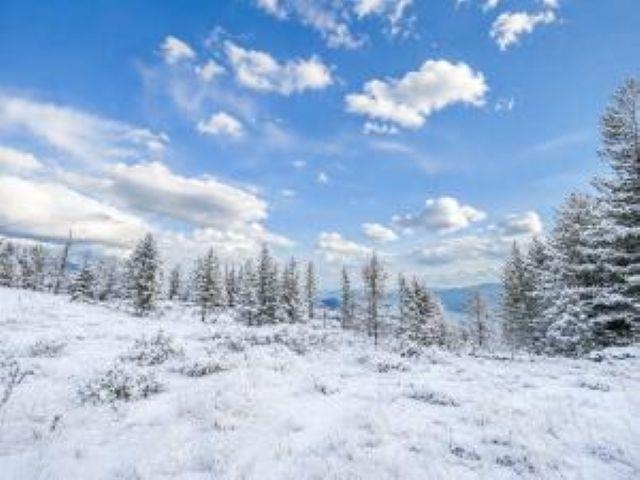 4xx R VISTA VIEW Ln - Photo 12