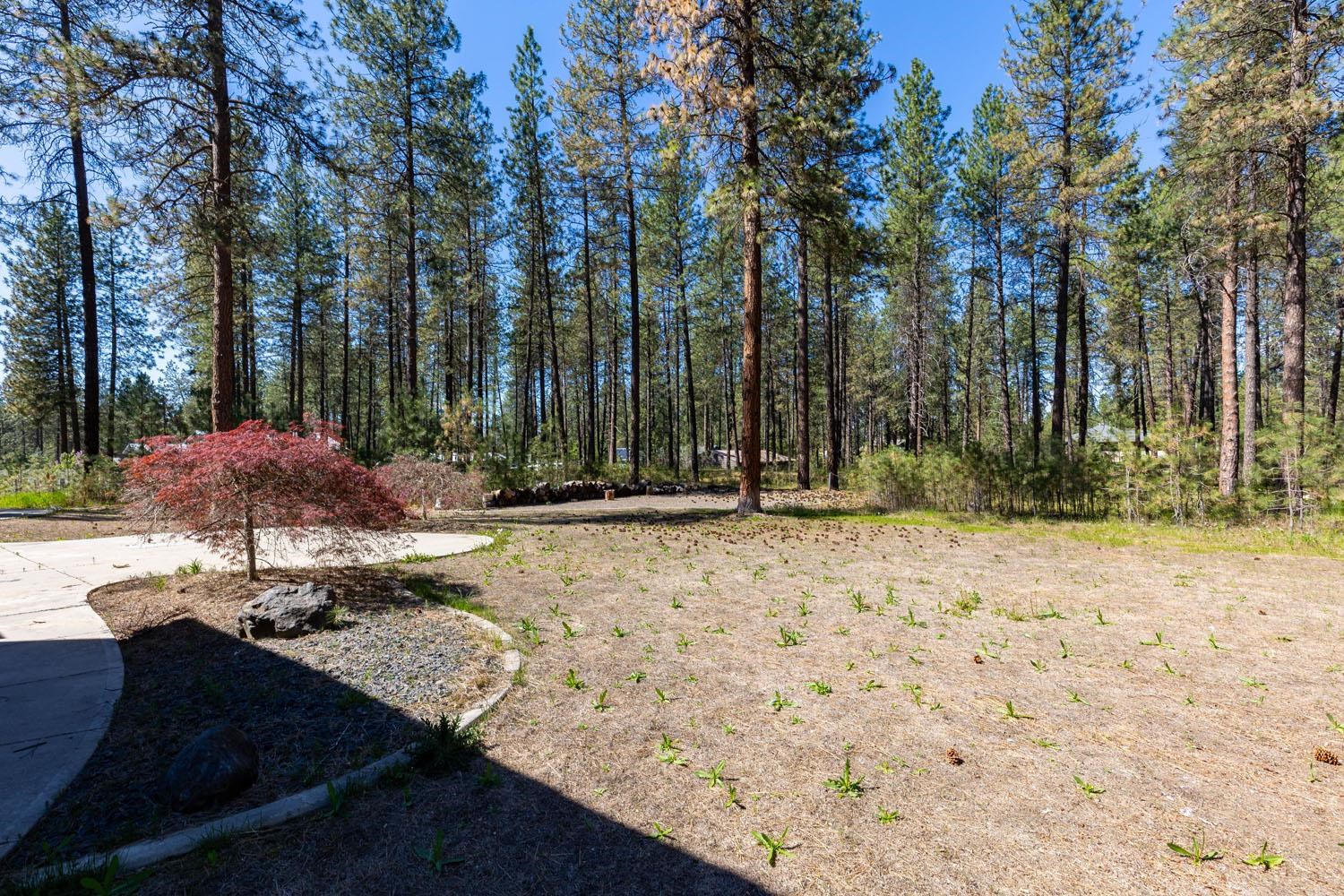 4911 E Greenbluff Rd - Photo 47