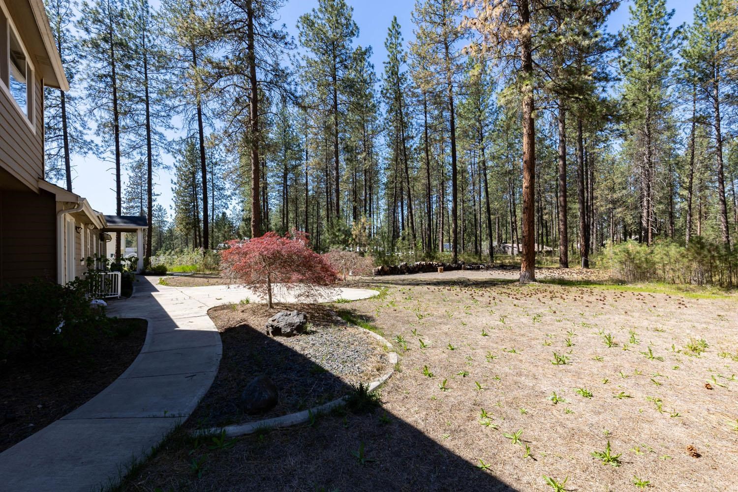 4911 E Greenbluff Rd - Photo 48