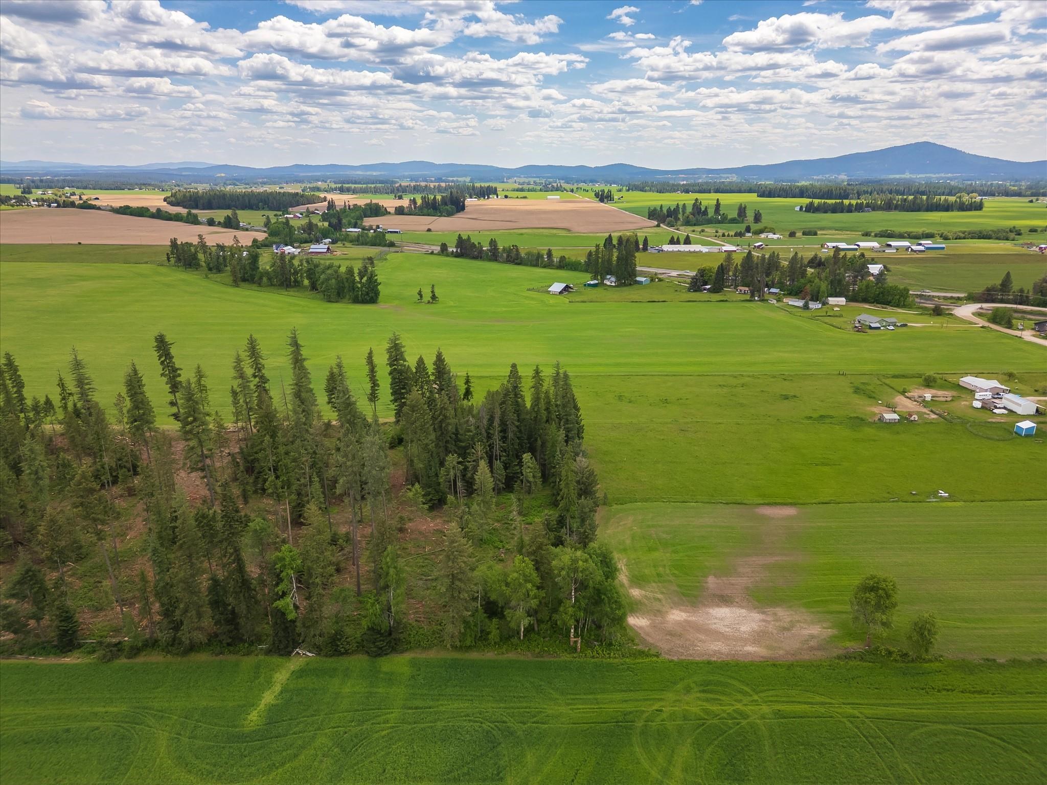 NKA Furze (Lot 2) Rd - Photo 1