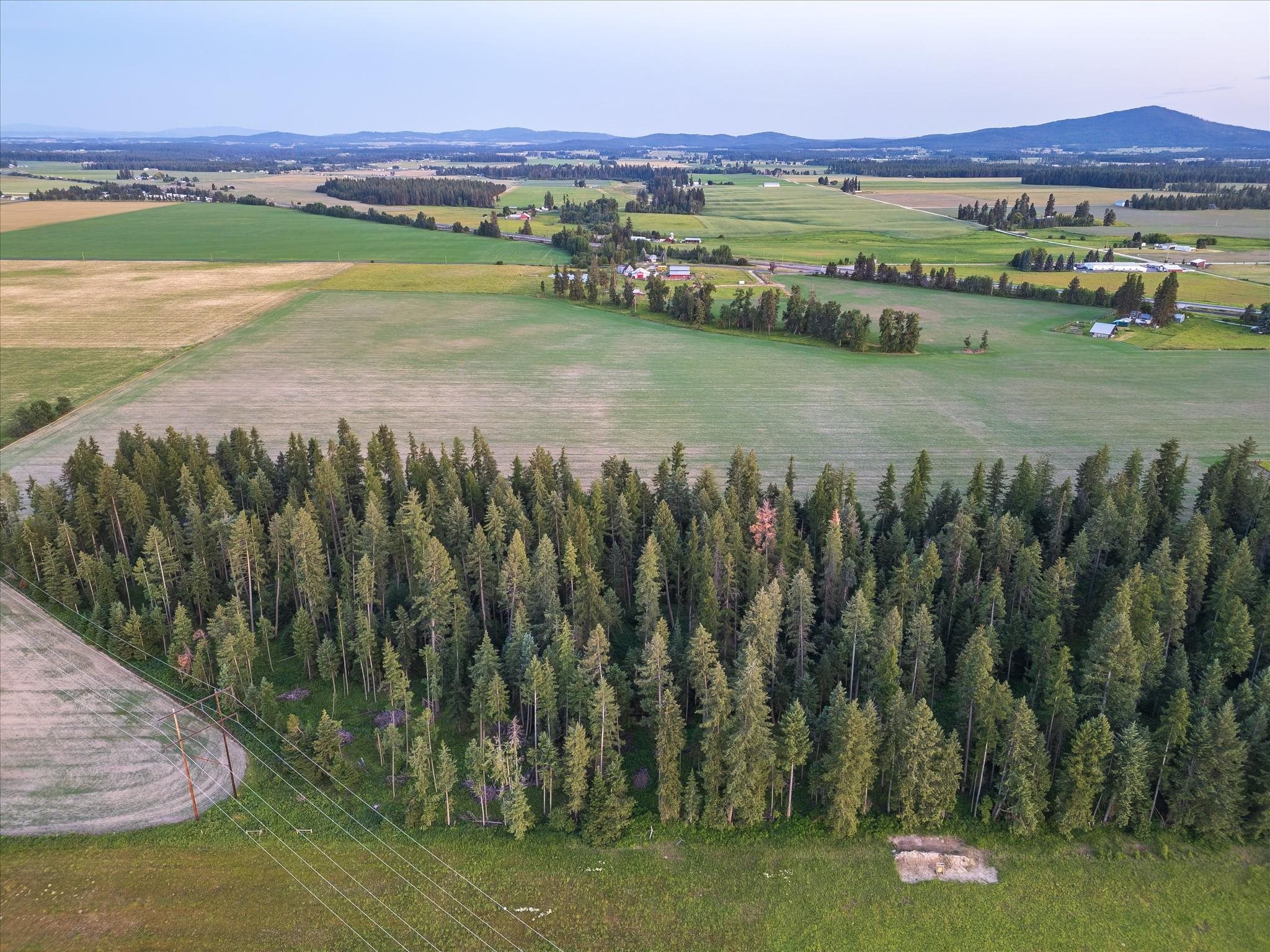 NKA Furze (Lot 4) Rd - Photo 1