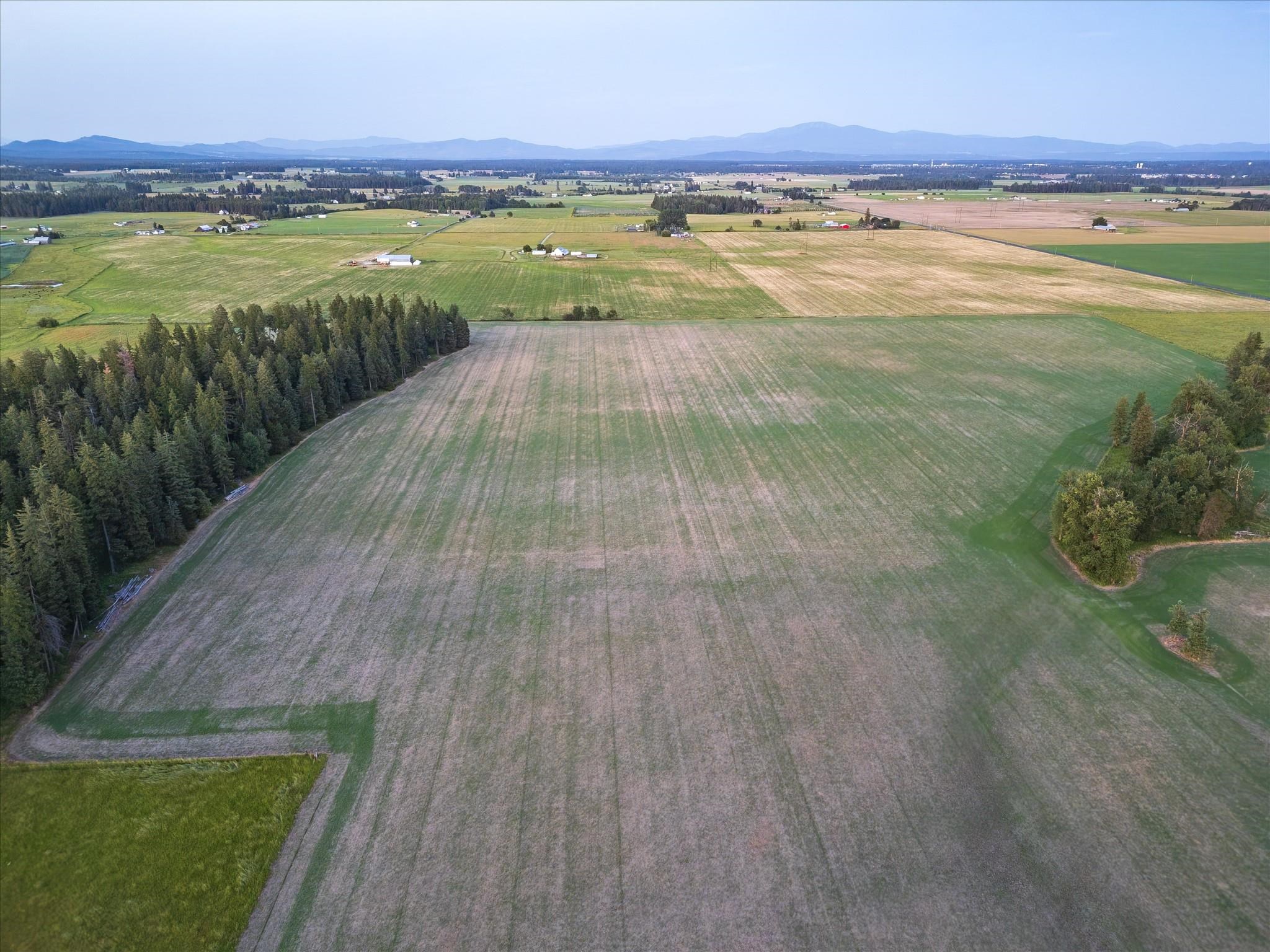 NKA Furze (Lot 6) Rd - Photo 5