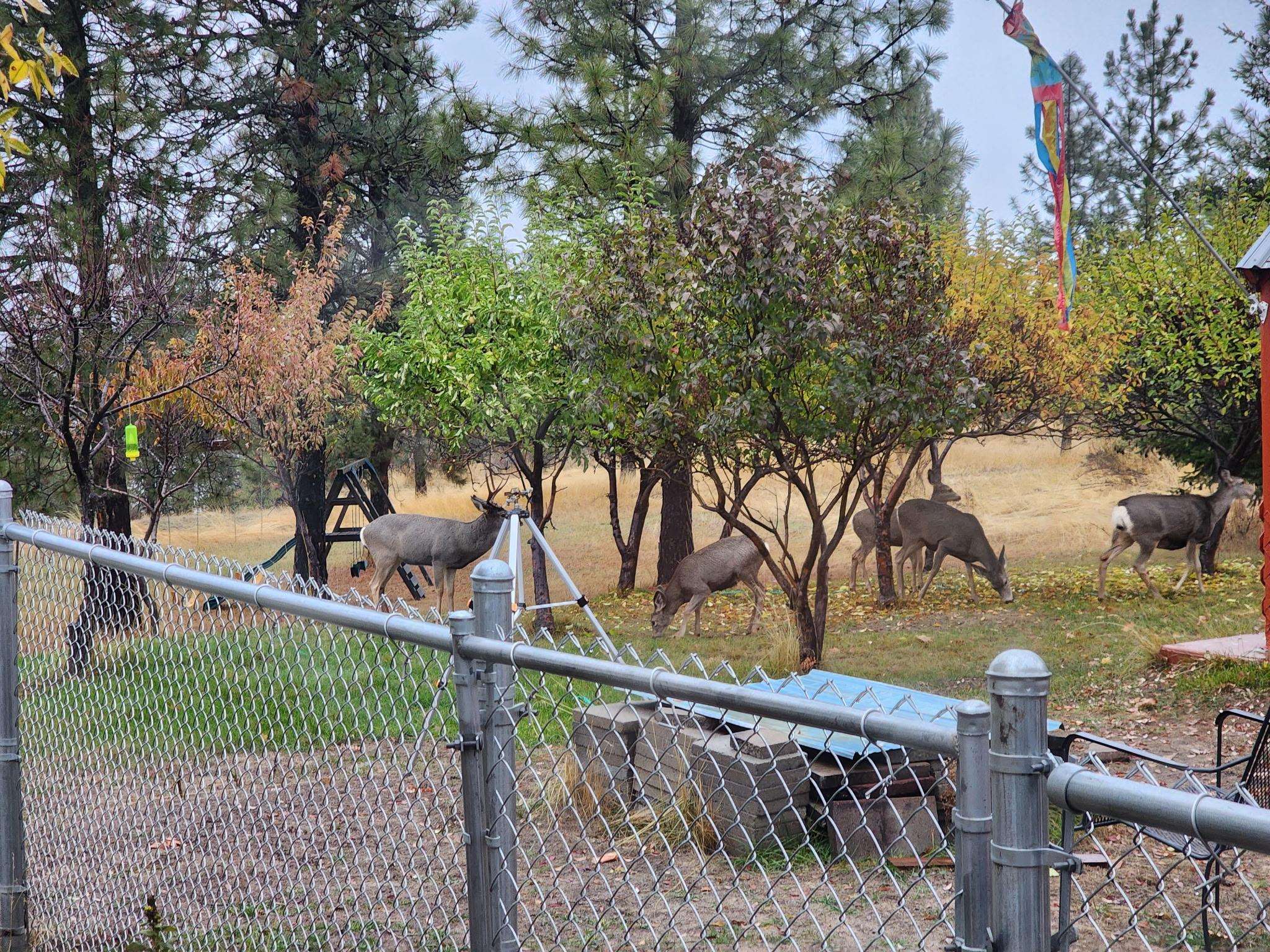 27877 Wild Turkey E Ln - Photo 32