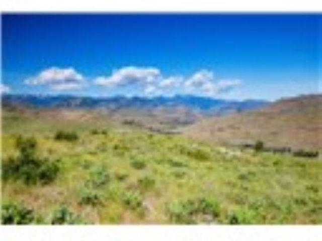 xxx Sawtooth View Rd - Photo 1